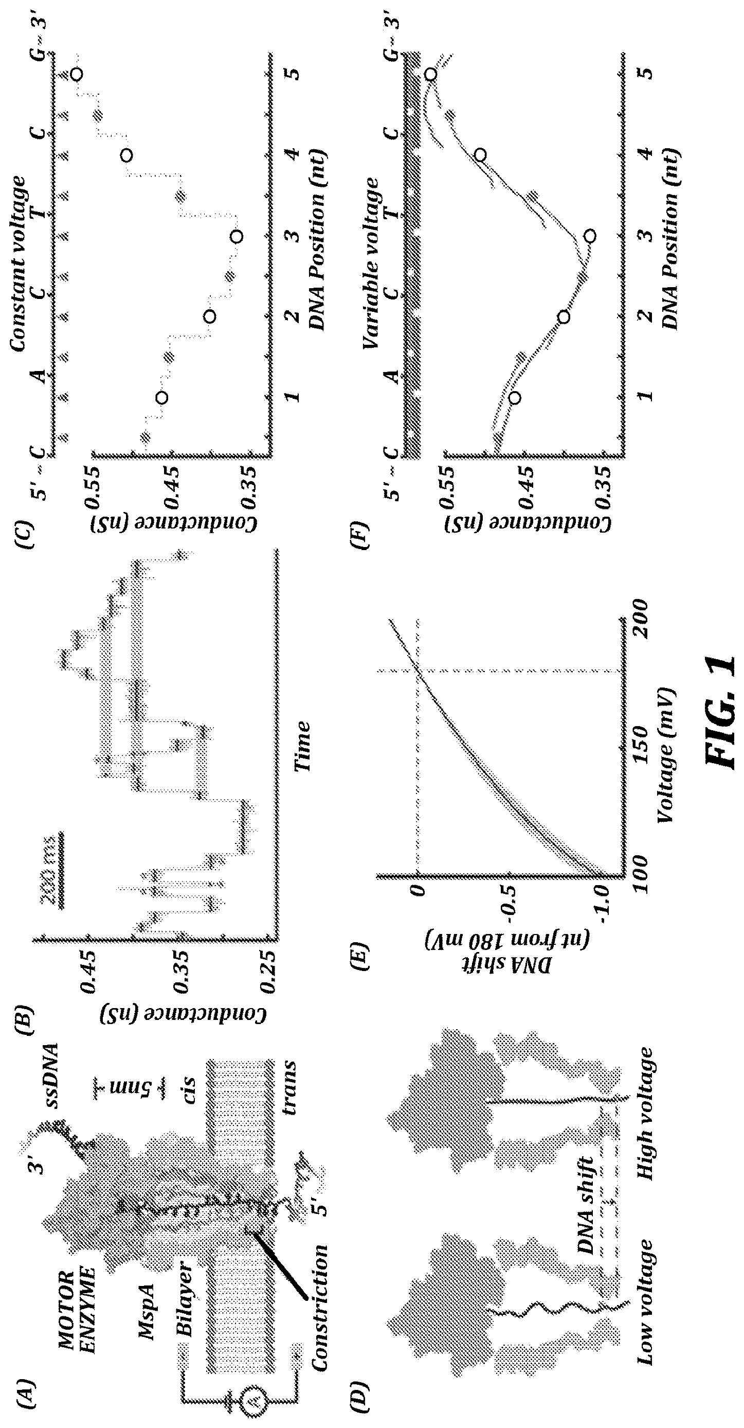 Patent US12321837 — Systems and methods for improved nanopore-based analysis of nucleic acids — Figure 1