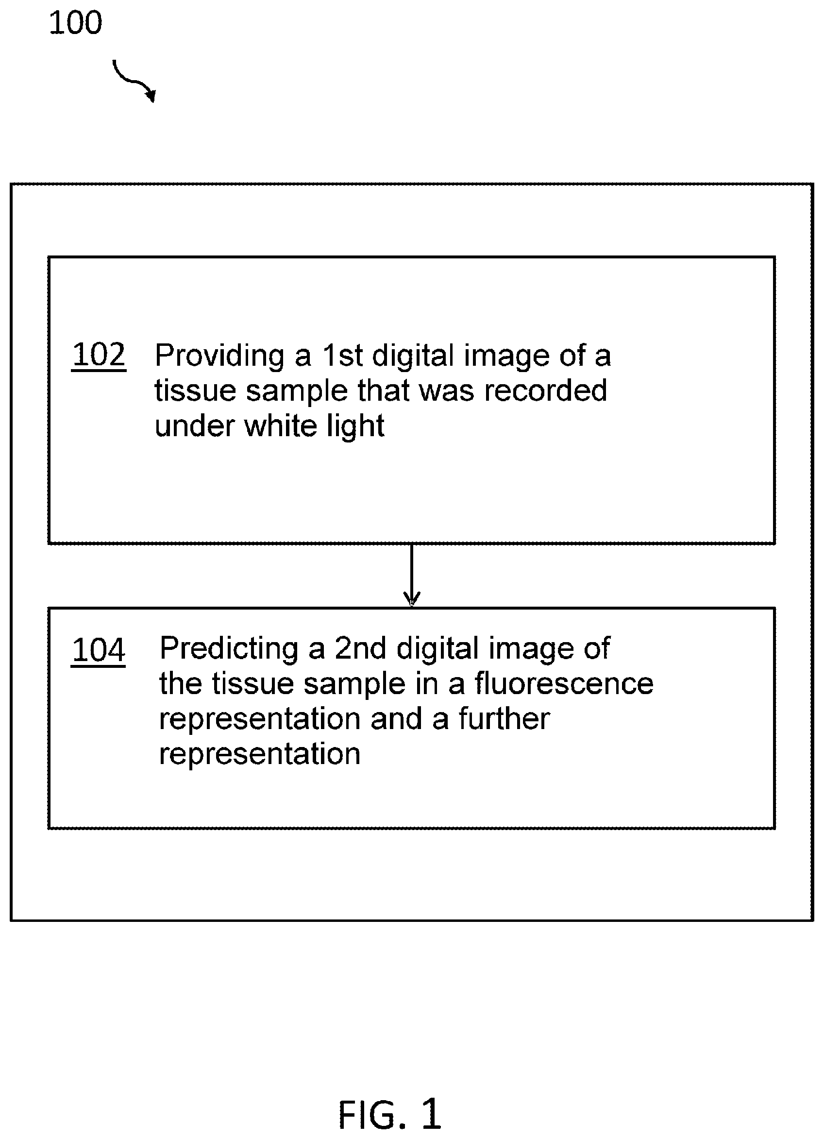 Patent US12322096 — Multi-task learning of white light photographs for a surgical microscope — Figure 1