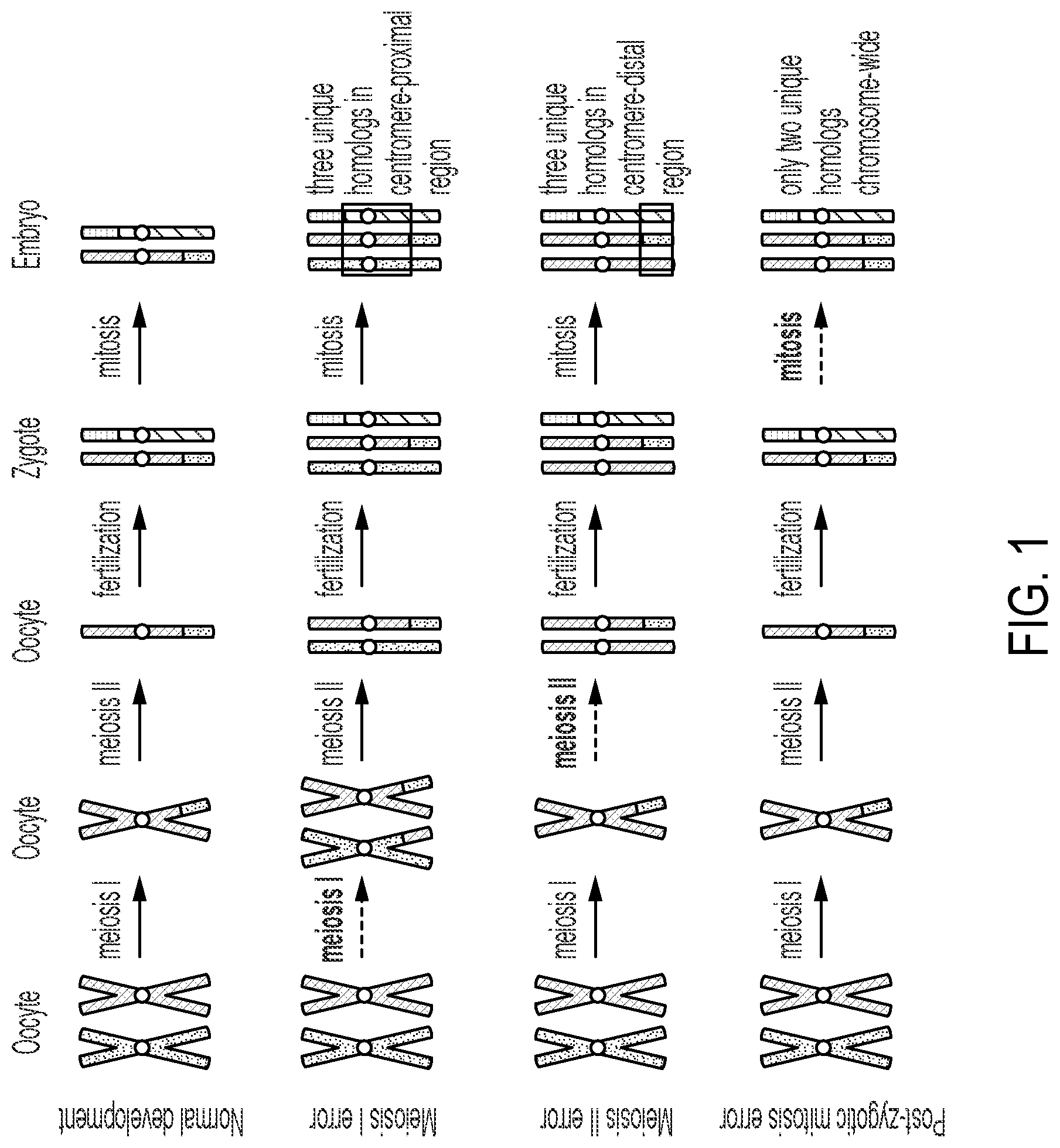 Patent US12322509 — Methods and related aspects for analyzing chromosome number status — Figure 1
