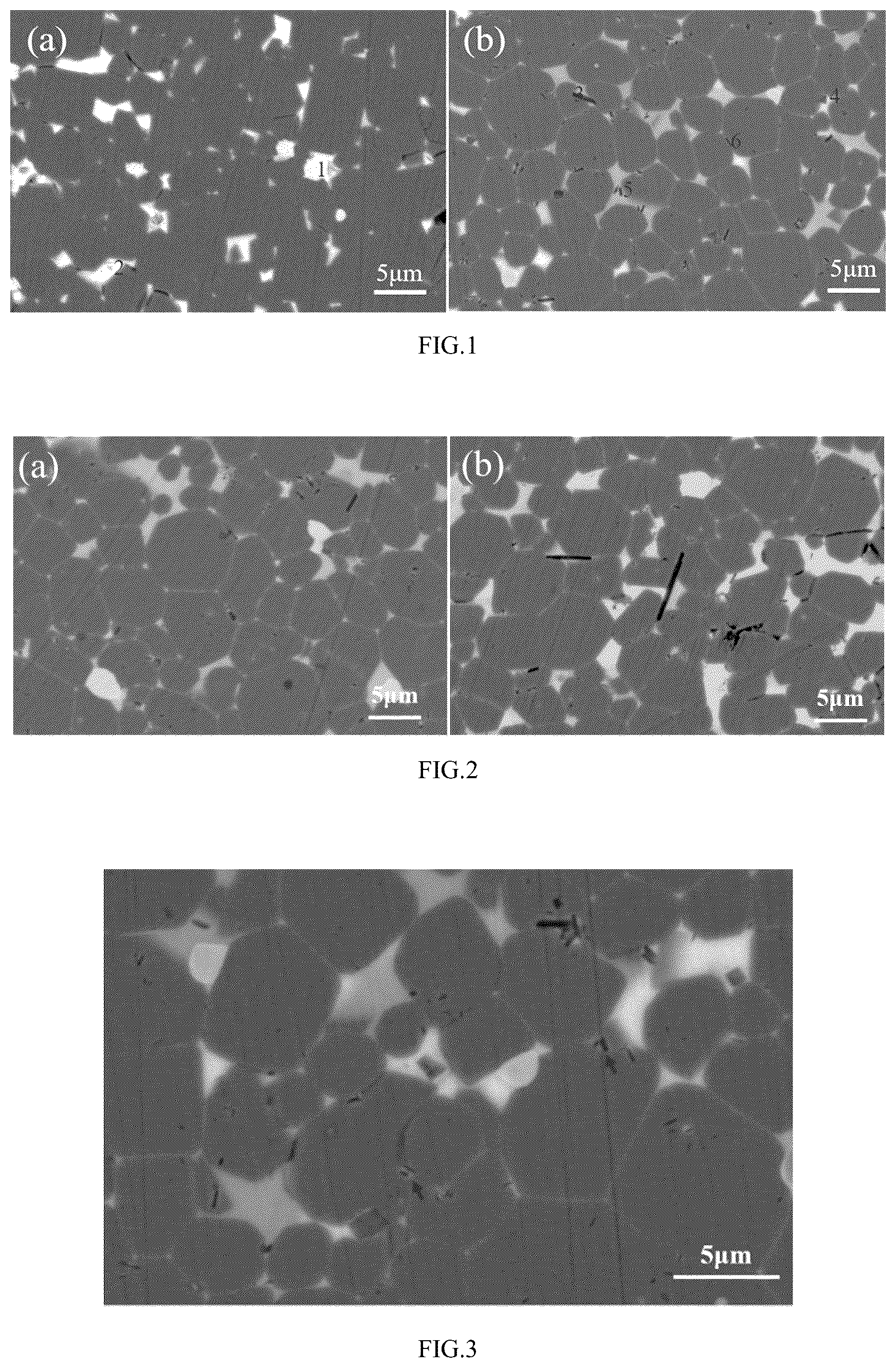 Patent US12322533 — High-strength R-T-B rare earth permanent magnet and preparation method thereof — Figure 1