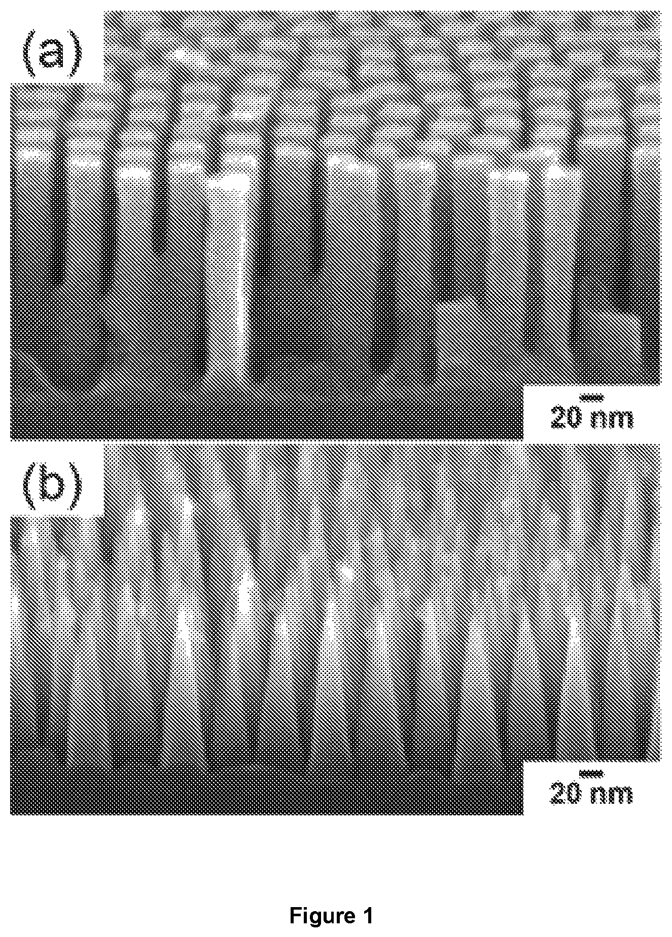 Patent US12322547 — Integrated polymer materials for use in electrochemical cells — Figure 1