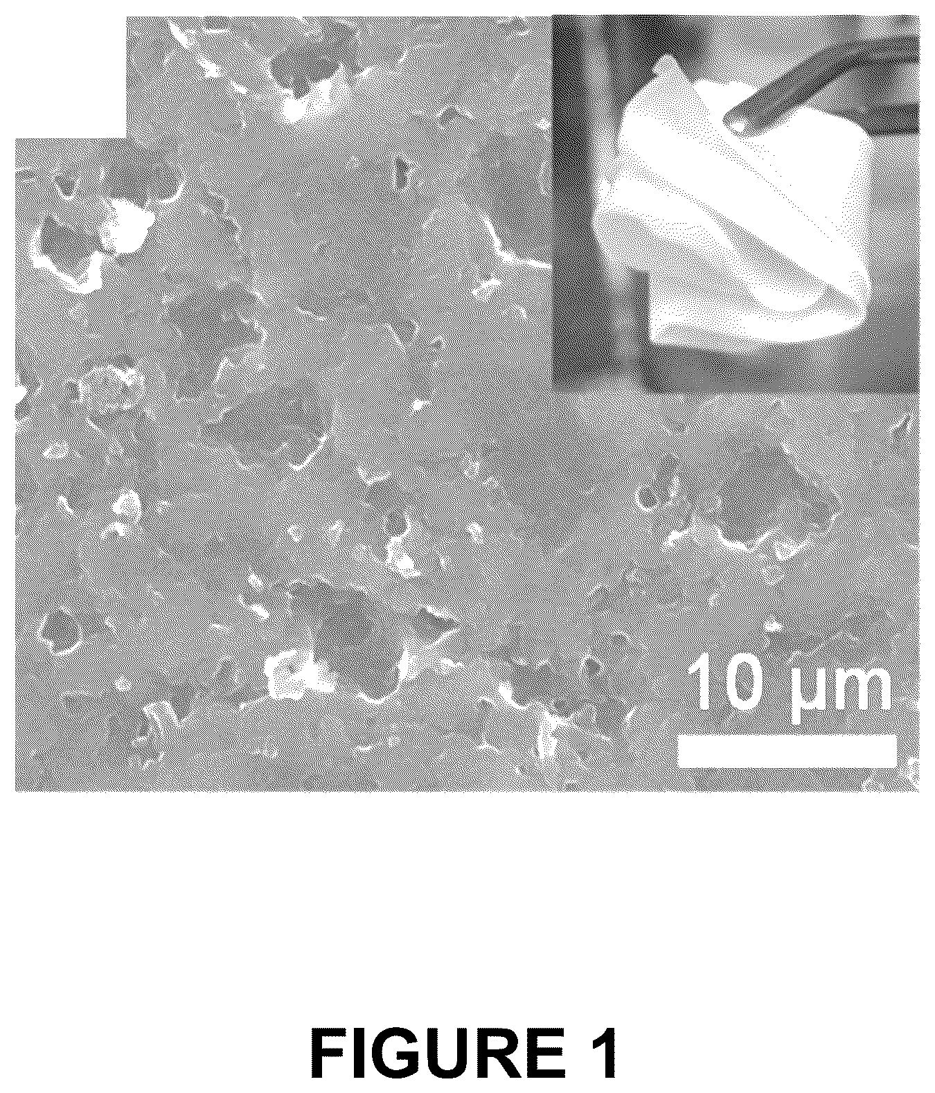 Patent US12322831 — Electrolyte membrane for an alkali metal battery — Figure 1