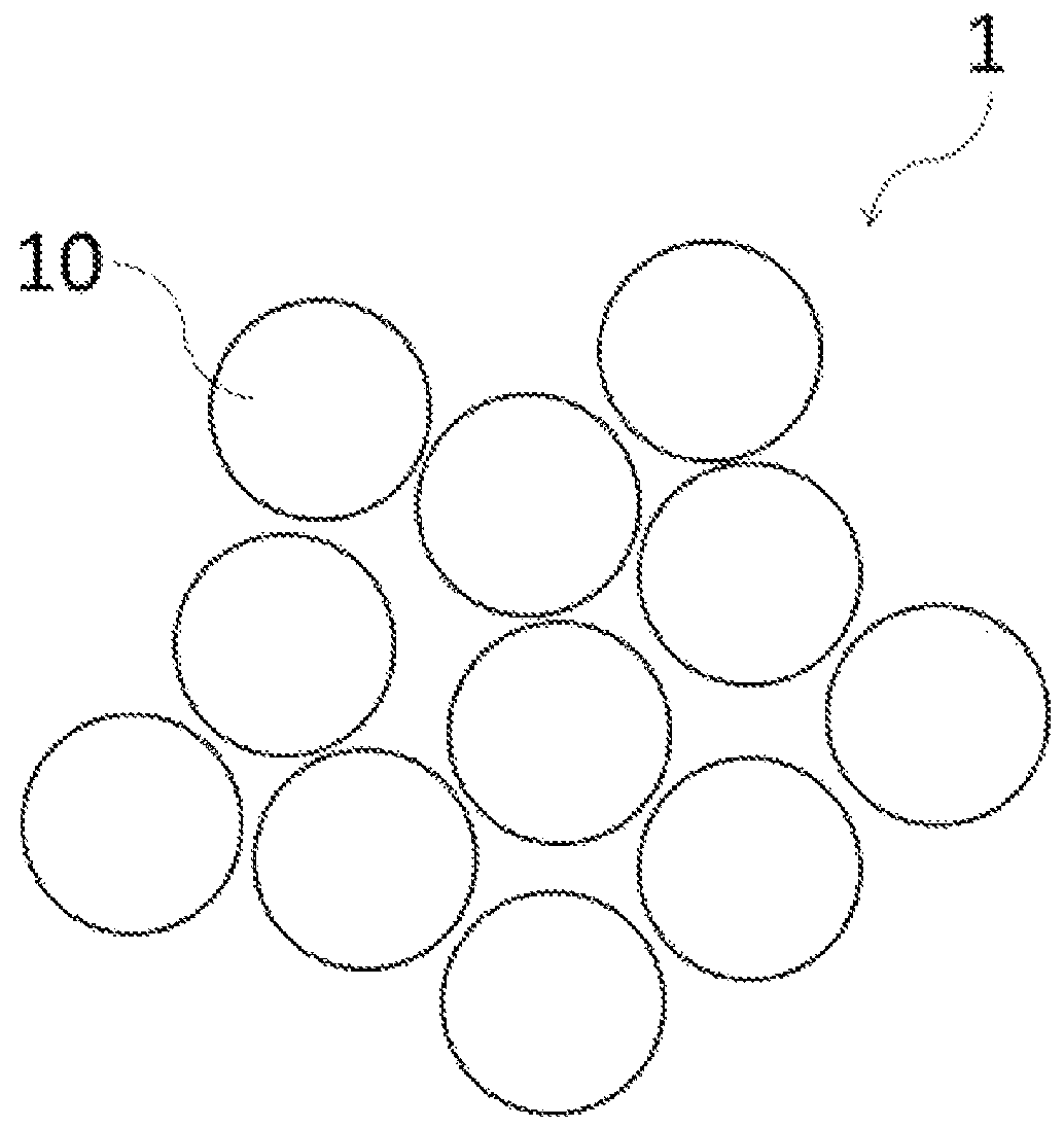 Patent US12324408 — Excrement treatment material and method for manufacturing the same — Figure 1