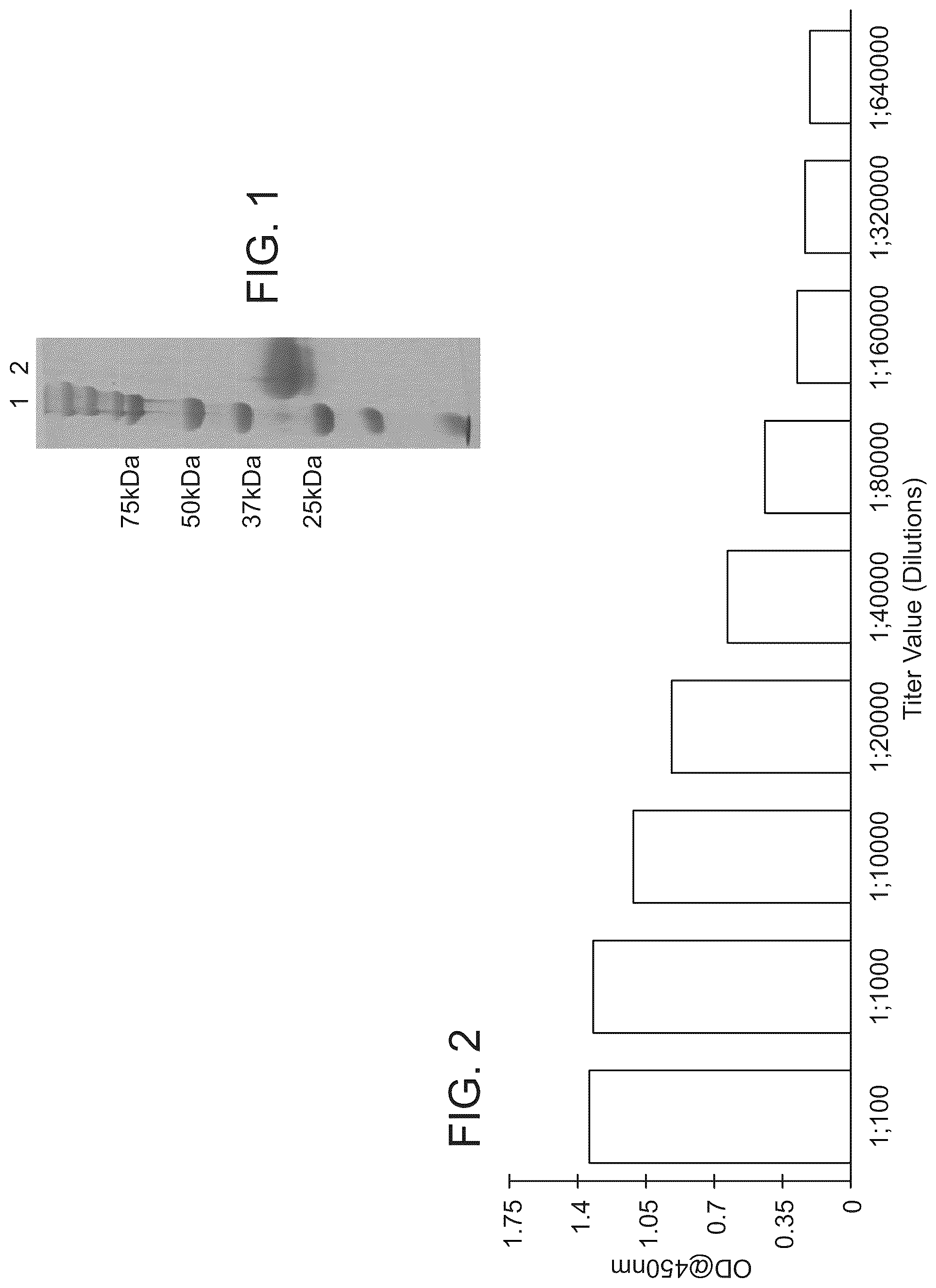Patent US12324441 — Hyperimmunized egg product for treatment or prevention of coronavirus infection — Figure 1