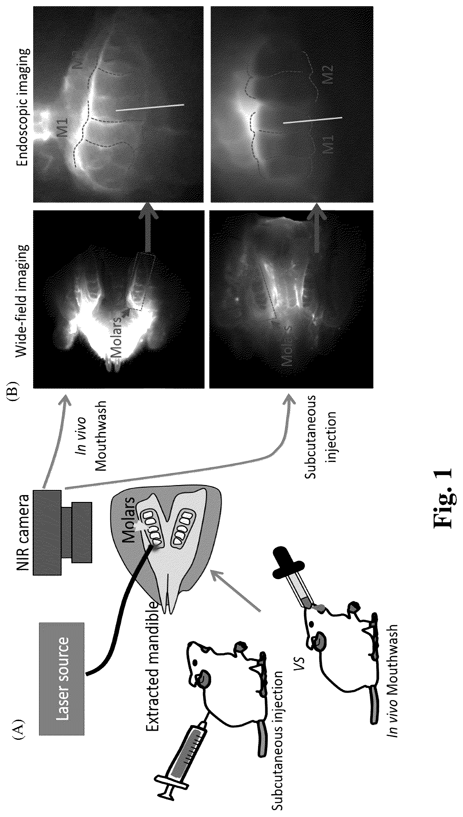 Patent US12324568 — Mouthwash to deliver dyes for dental imaging — Figure 1