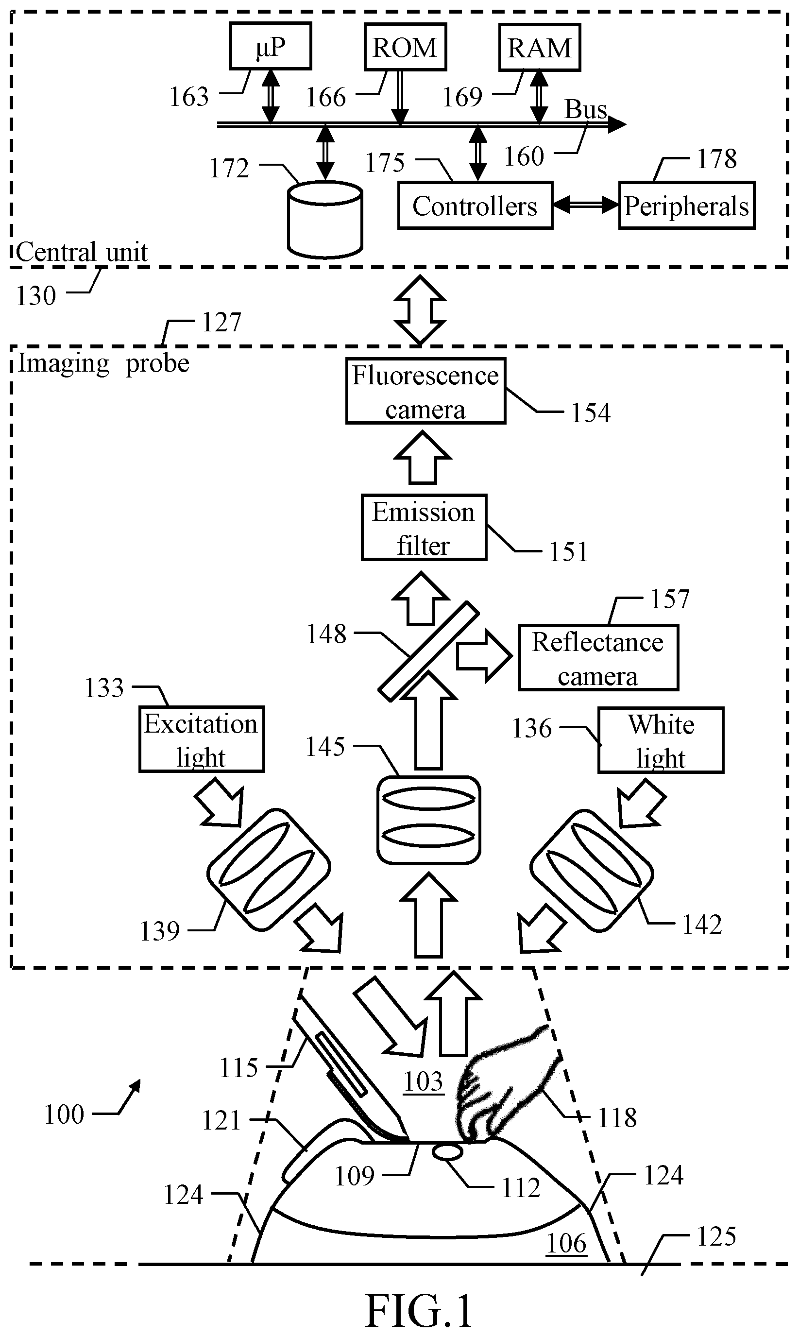Patent US12324648 — Assisting medical procedures with luminescence images processed in limited informative regions identified in corresponding auxiliary images — Figure 1