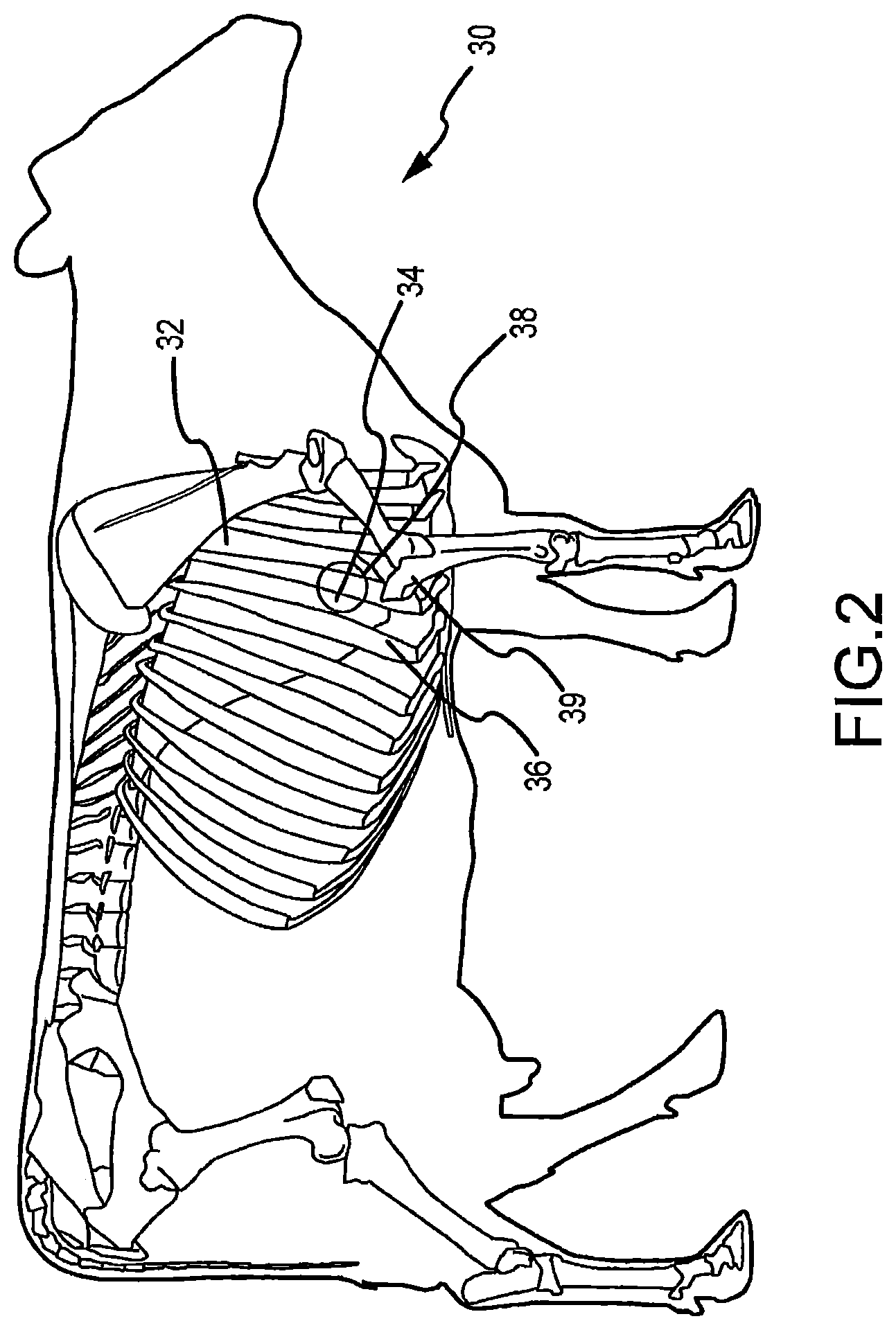 Patent US12324657 Figure 2 – System and method for diagnosis of bovine diseases using auscultation analysis
