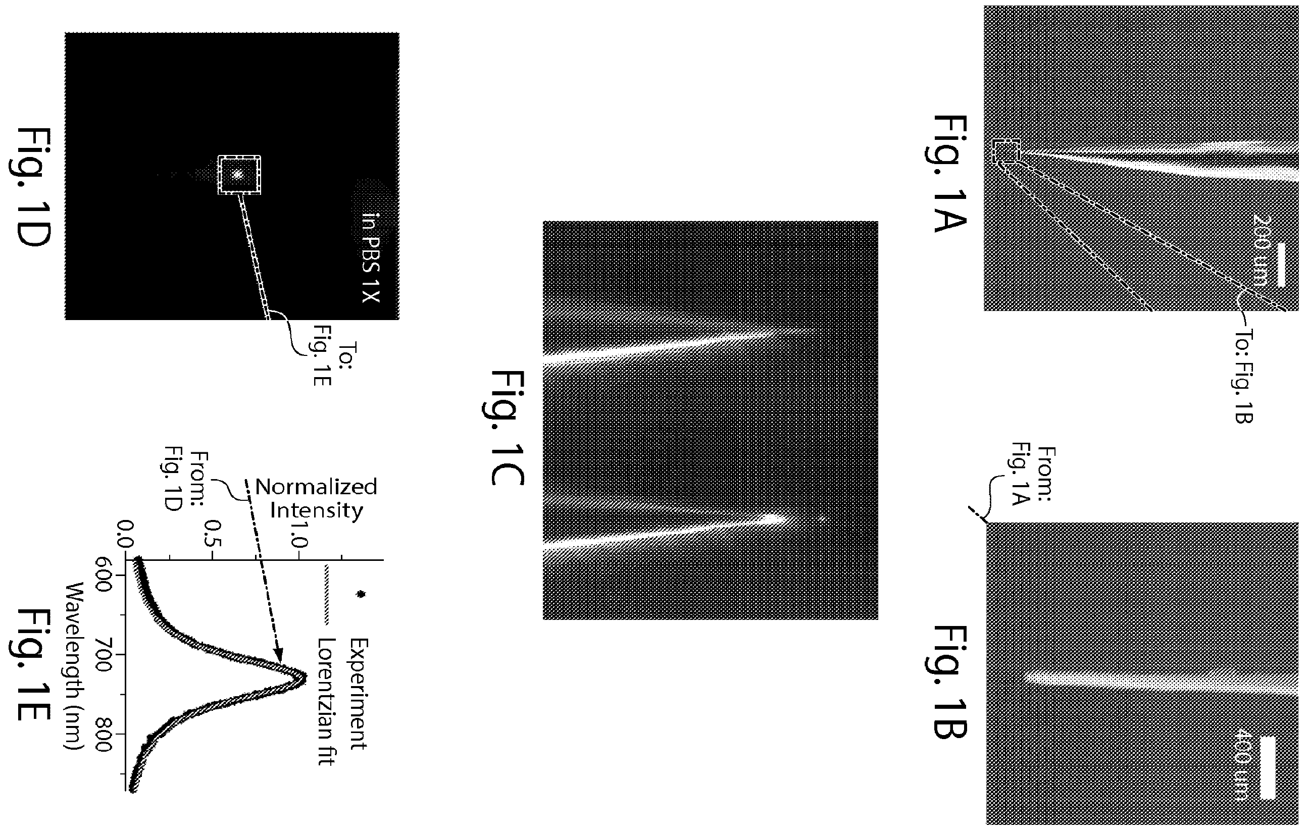 Patent US12324663 — Systems and methods for making and using sensors, probes, and other devices — Figure 1