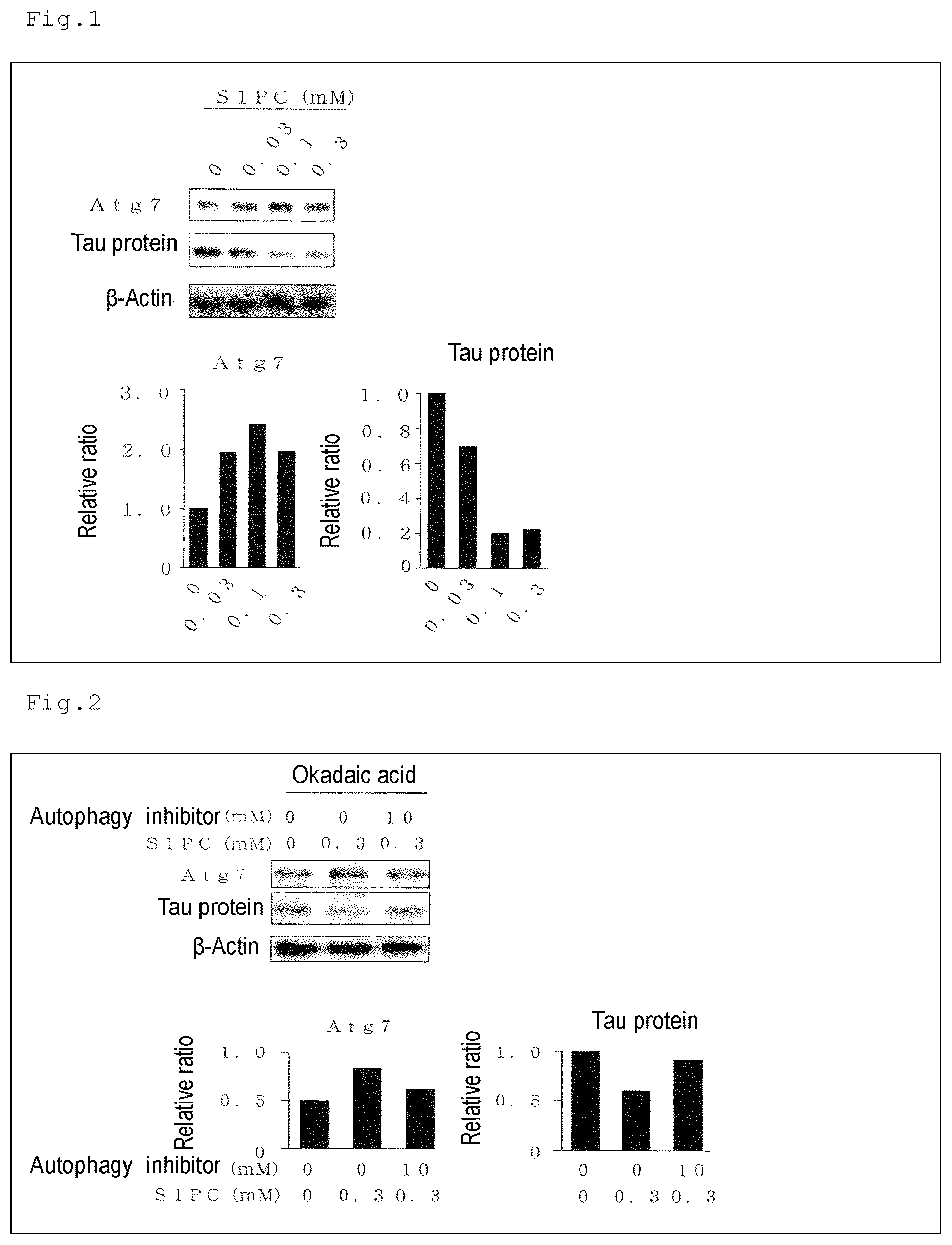 Patent US12324795 Figure 1 – Autophagy activating agent