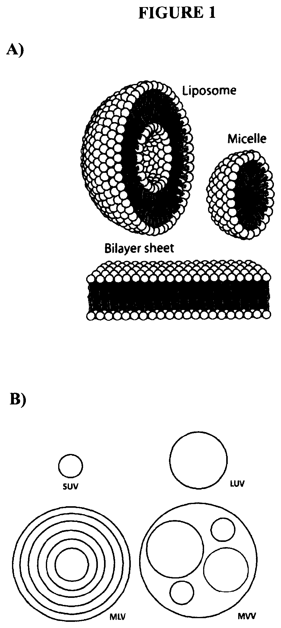Patent US12324800 — Lecithin vesicles — Figure 1