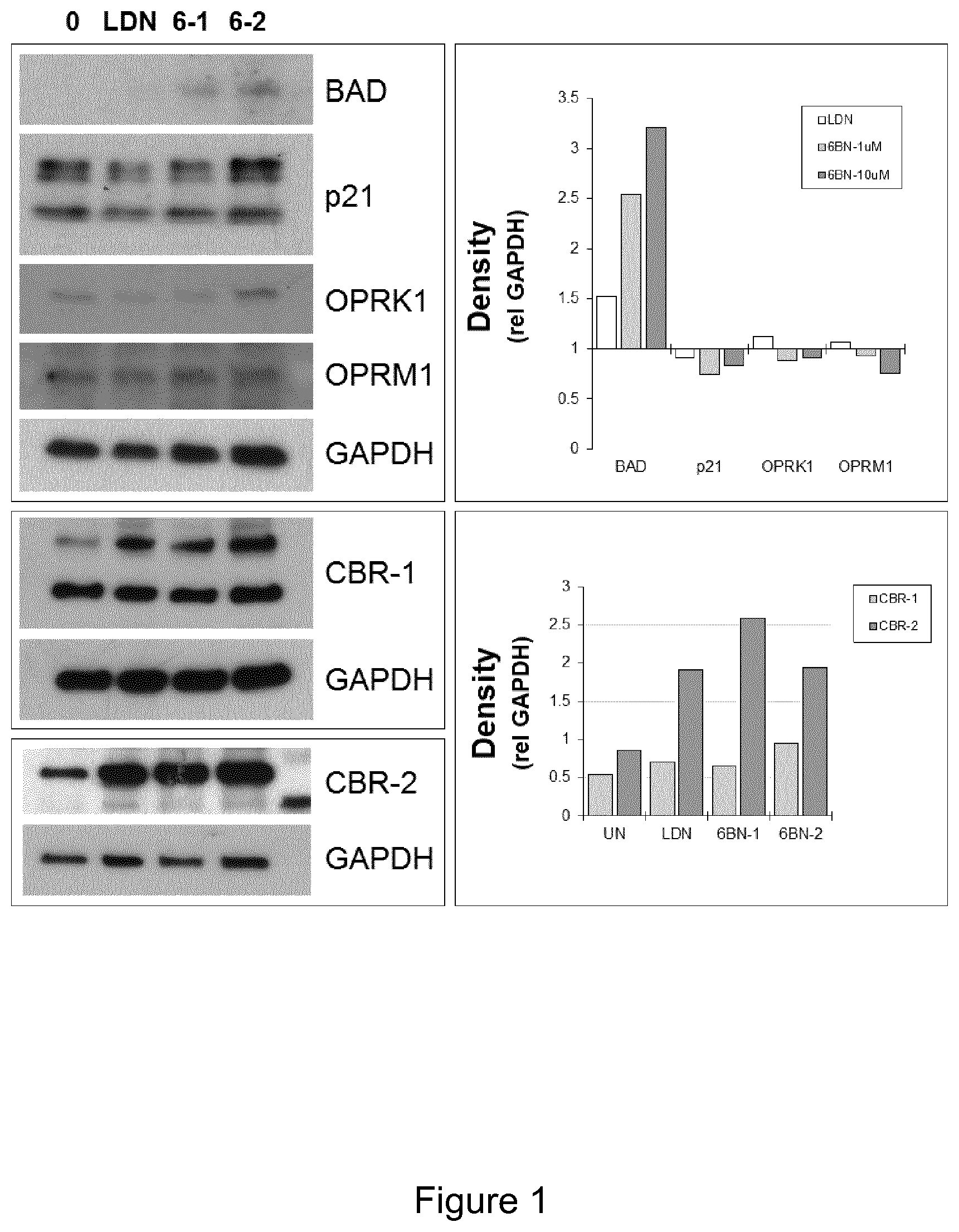 Patent US12324805 — Cancer treatment — Figure 1