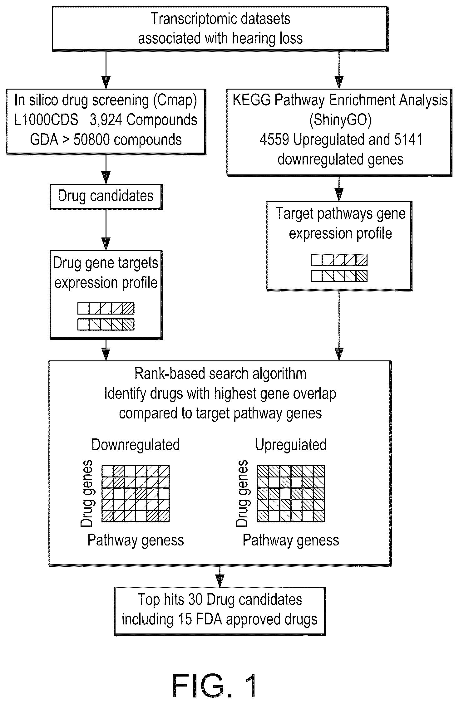 Patent US12324808 — Methods for the prevention and treatment of hearing loss — Figure 1