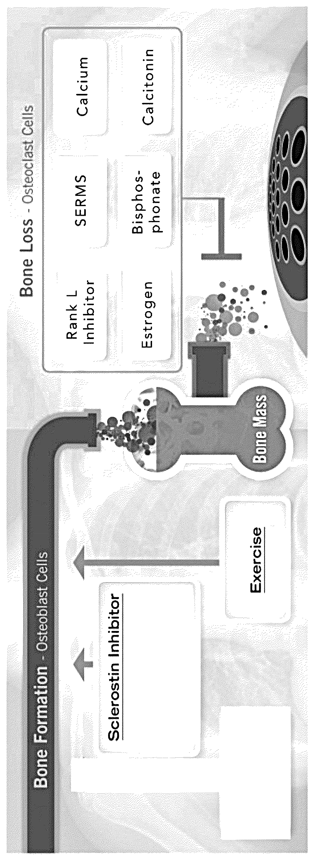Patent US12324809 — Fluoro beta-carboline compounds — Figure 1