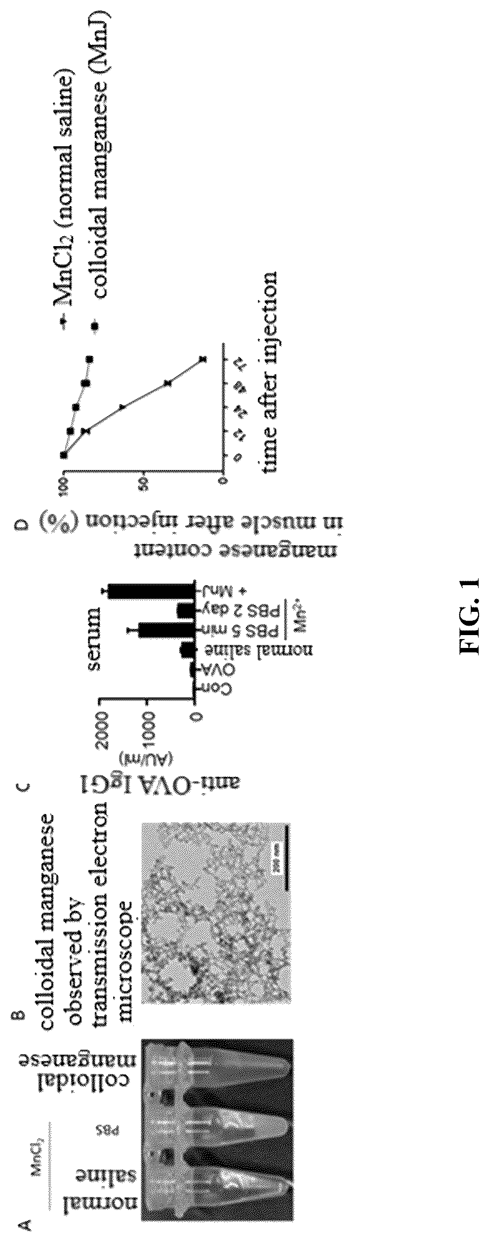 Patent US12324814 Figure 1 – Manganese composition for enhancing immunity