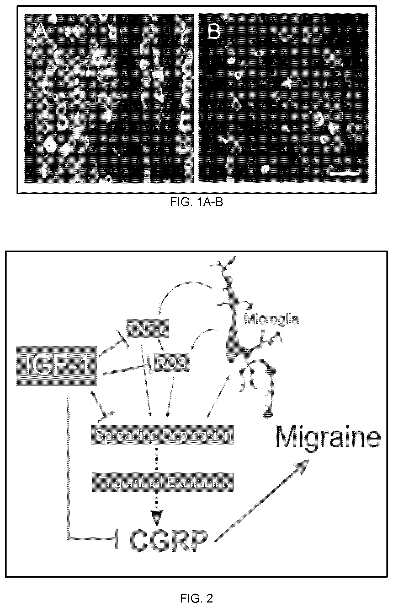 Patent US12324827 — Combination therapy for the treatment of migraines — Figure 1