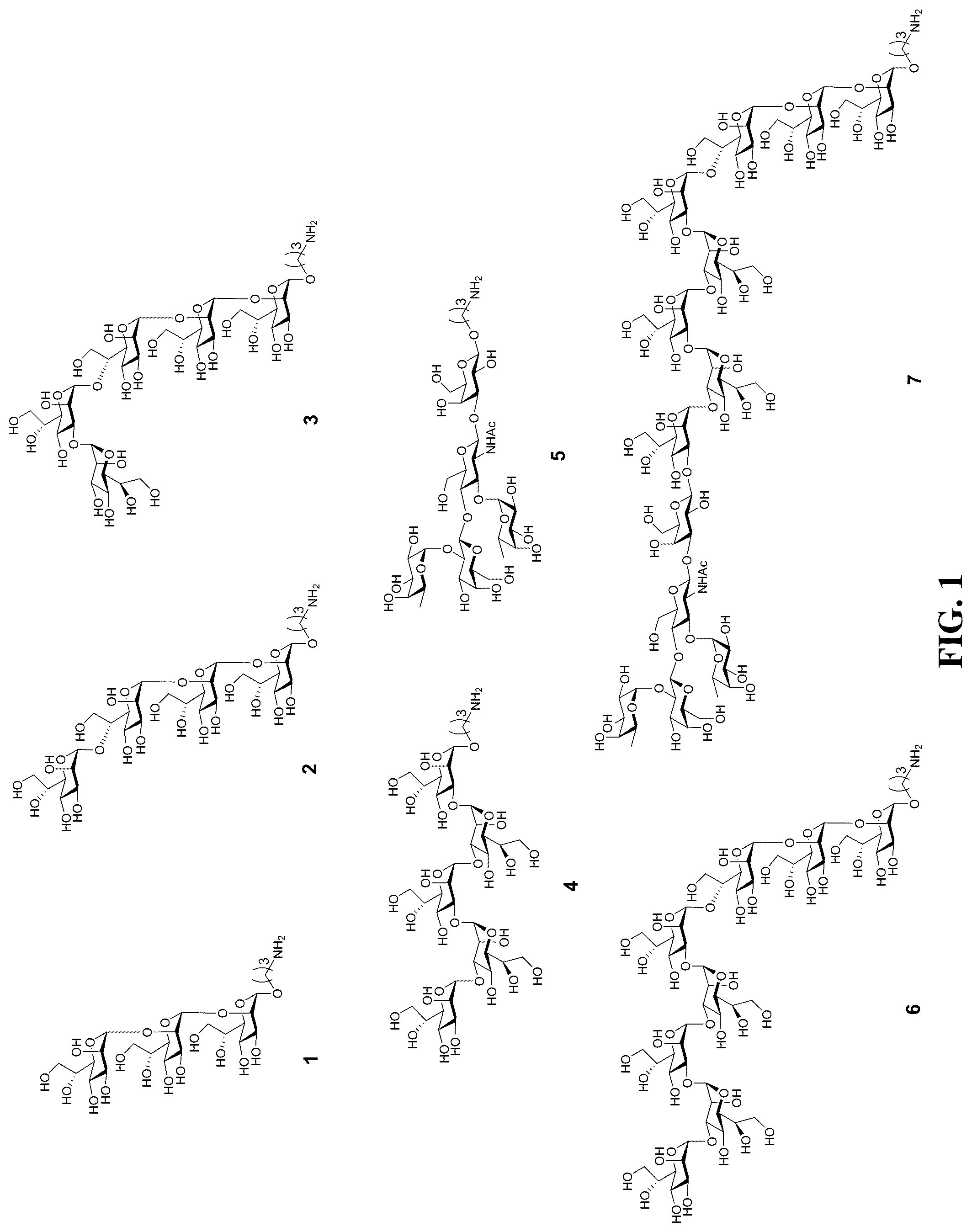 Patent US12324832 Figure 1 – Application of heptoglycan-chain-containing oligosaccharide compounds in preparation of vaccine against Helicobacter pylori