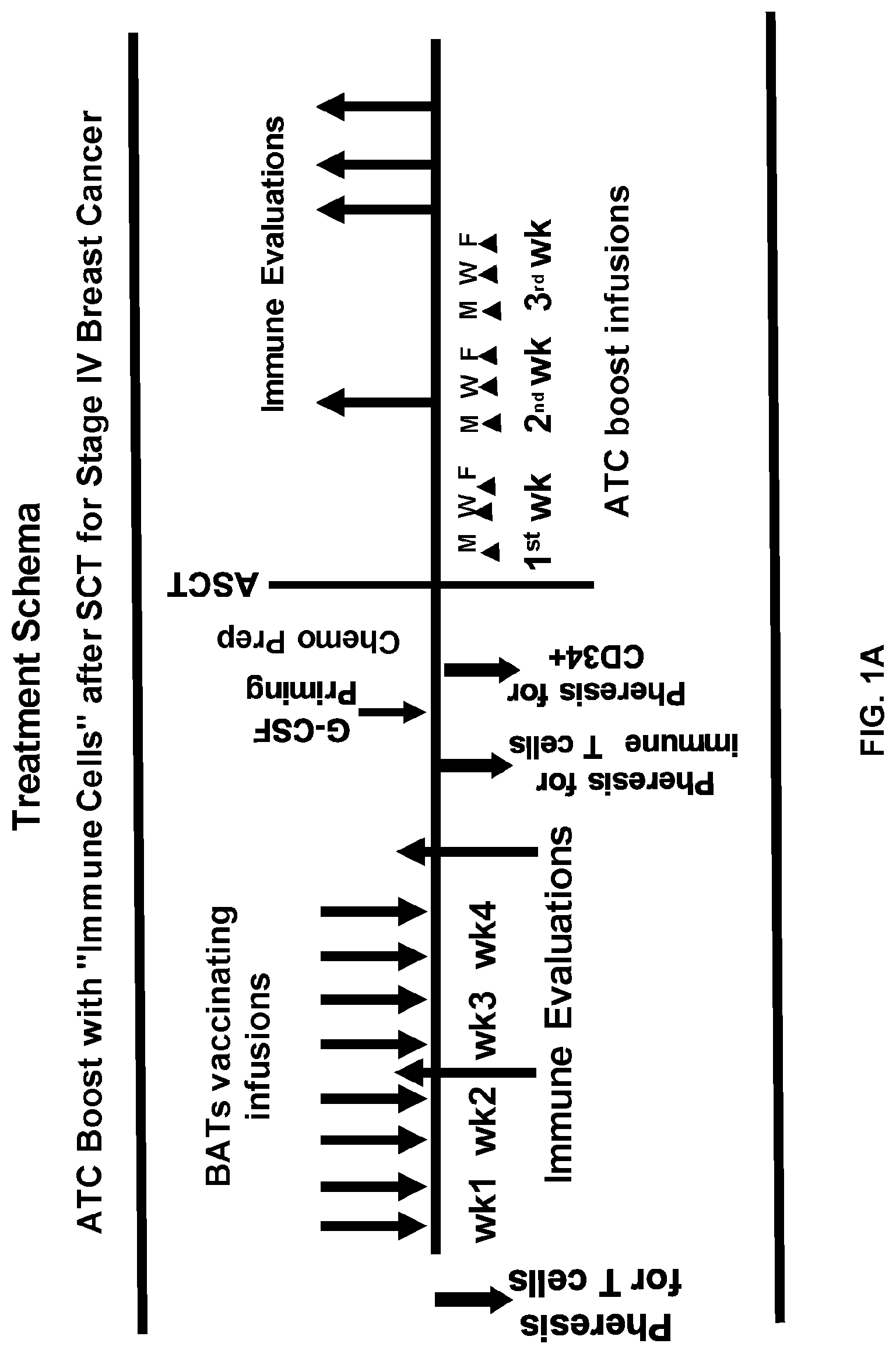 Patent US12324836 — Methods and compositions for vaccinating and boosting cancer patients — Figure 1