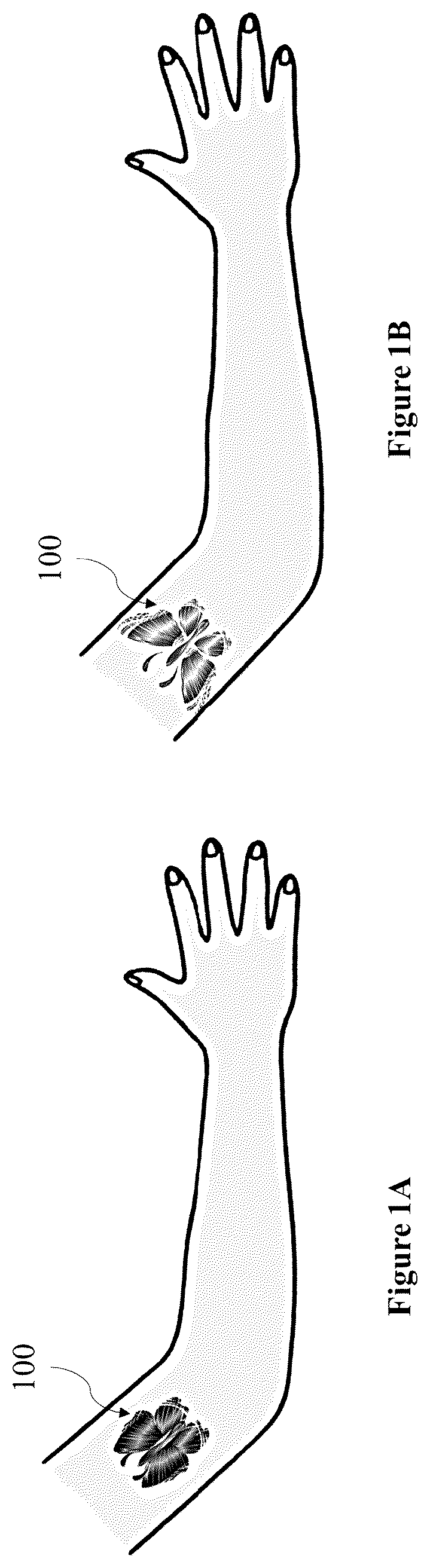 Patent US12324851 — Drawing substrate — Figure 1