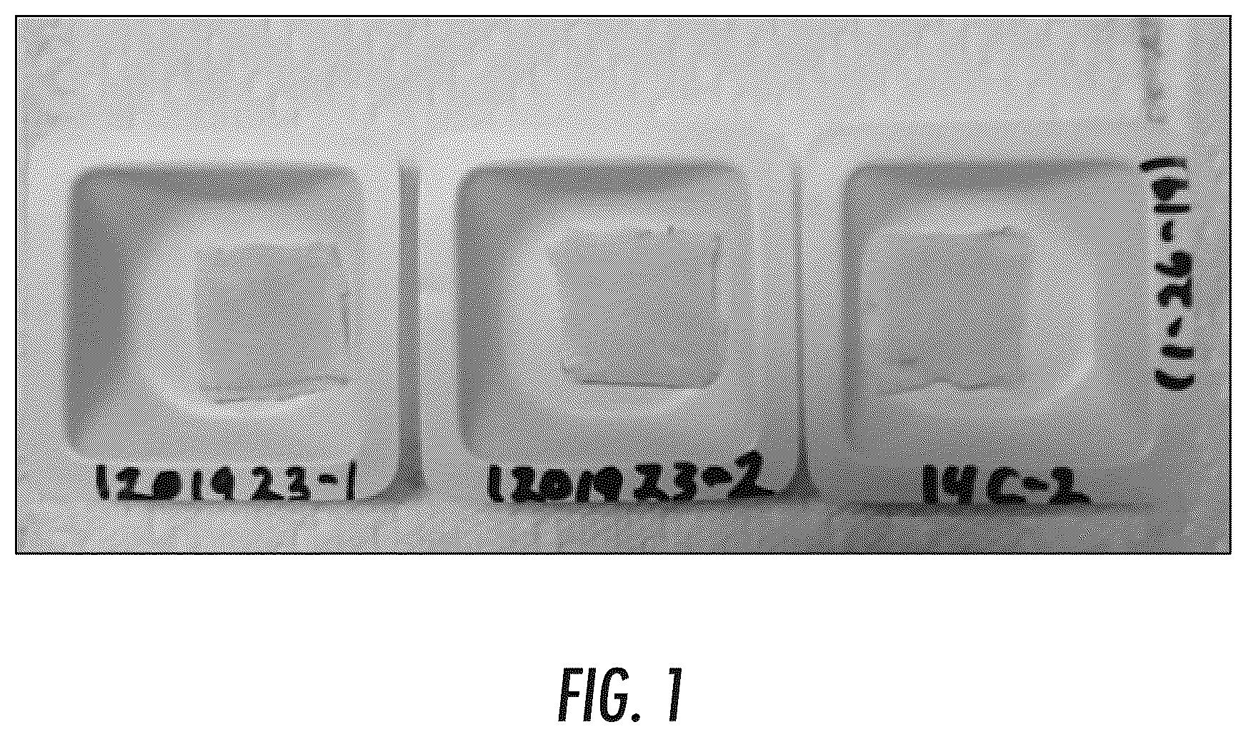 Patent US12324858 — Pharmaceutical formulation and system and method for delivery — Figure 1