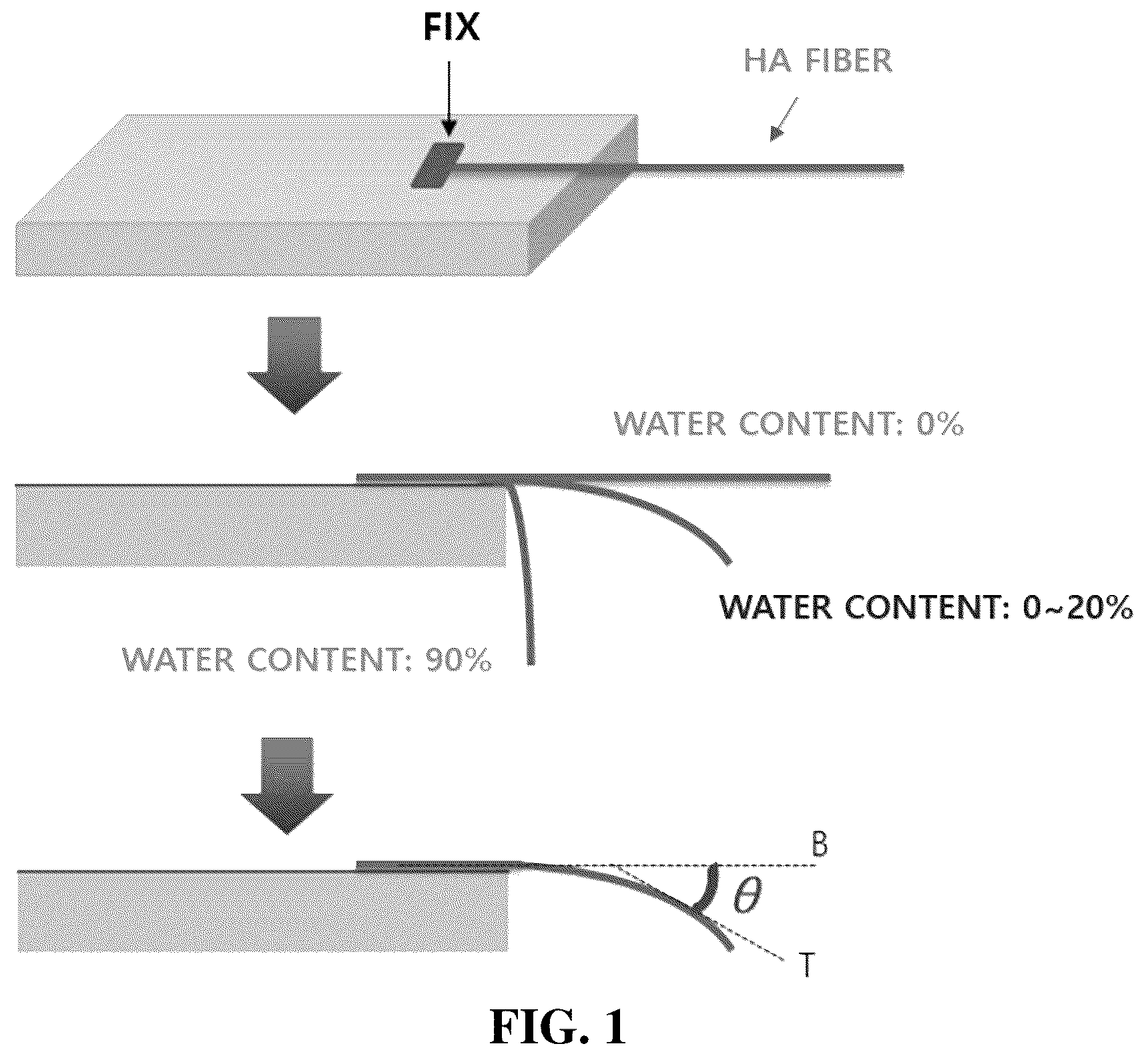 Patent US12324867 — Hyaluronate fiber and manufacturing method thereof — Figure 1