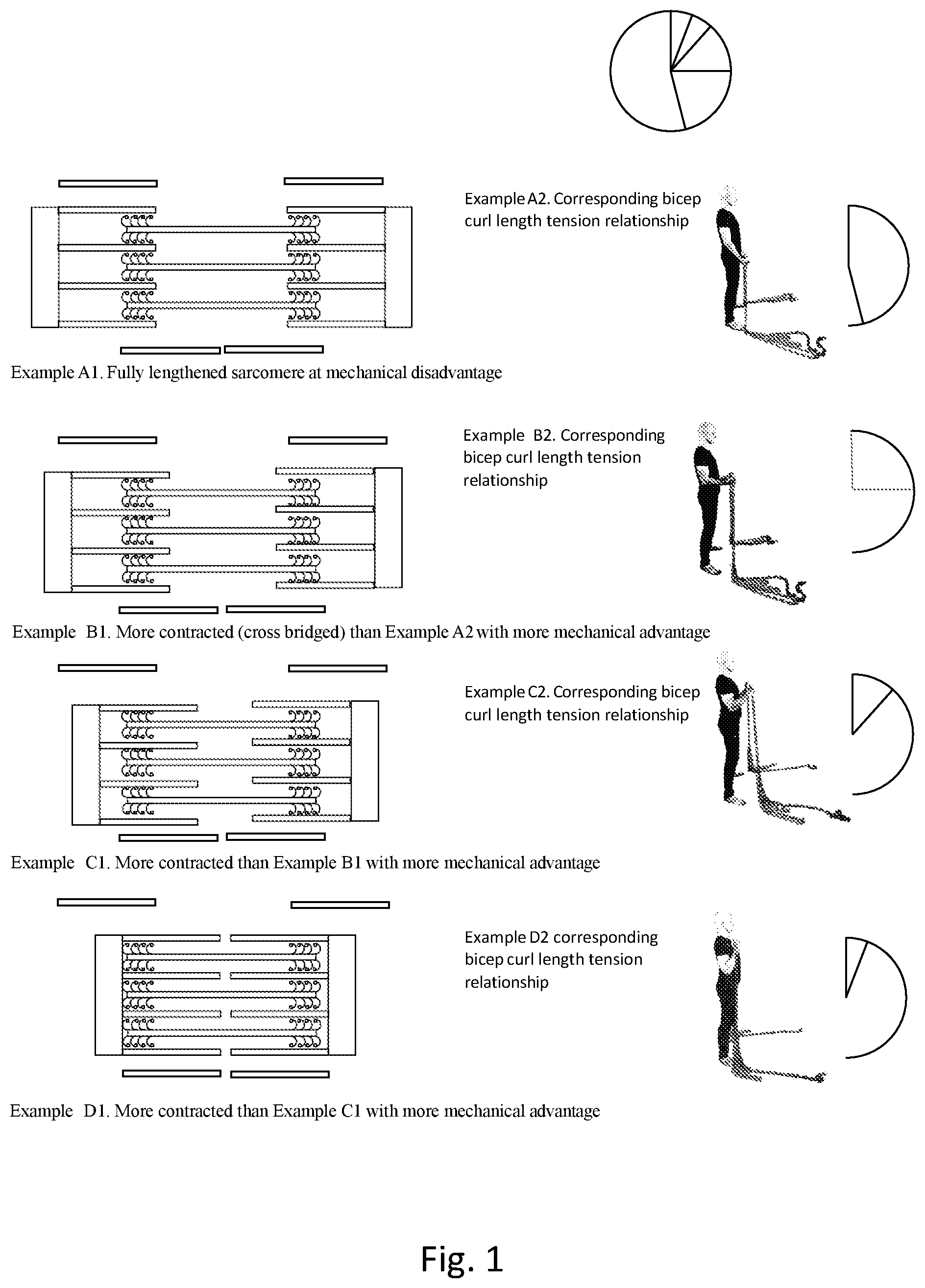 Patent US12324943 — Weight training chain apparatus and method of use — Figure 1