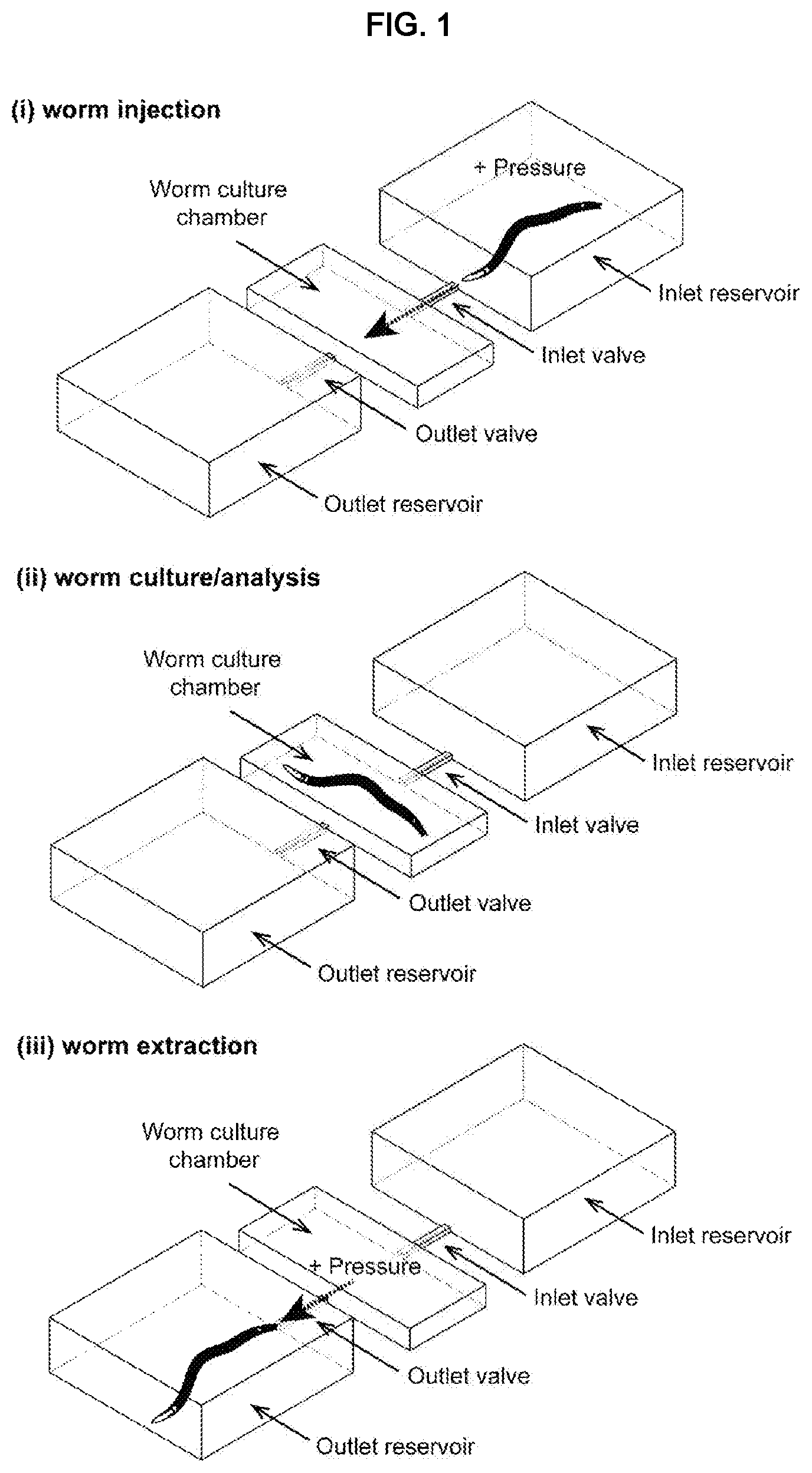 Patent US12325022 — Microfluidic device, system, and method for the study of organisms — Figure 1