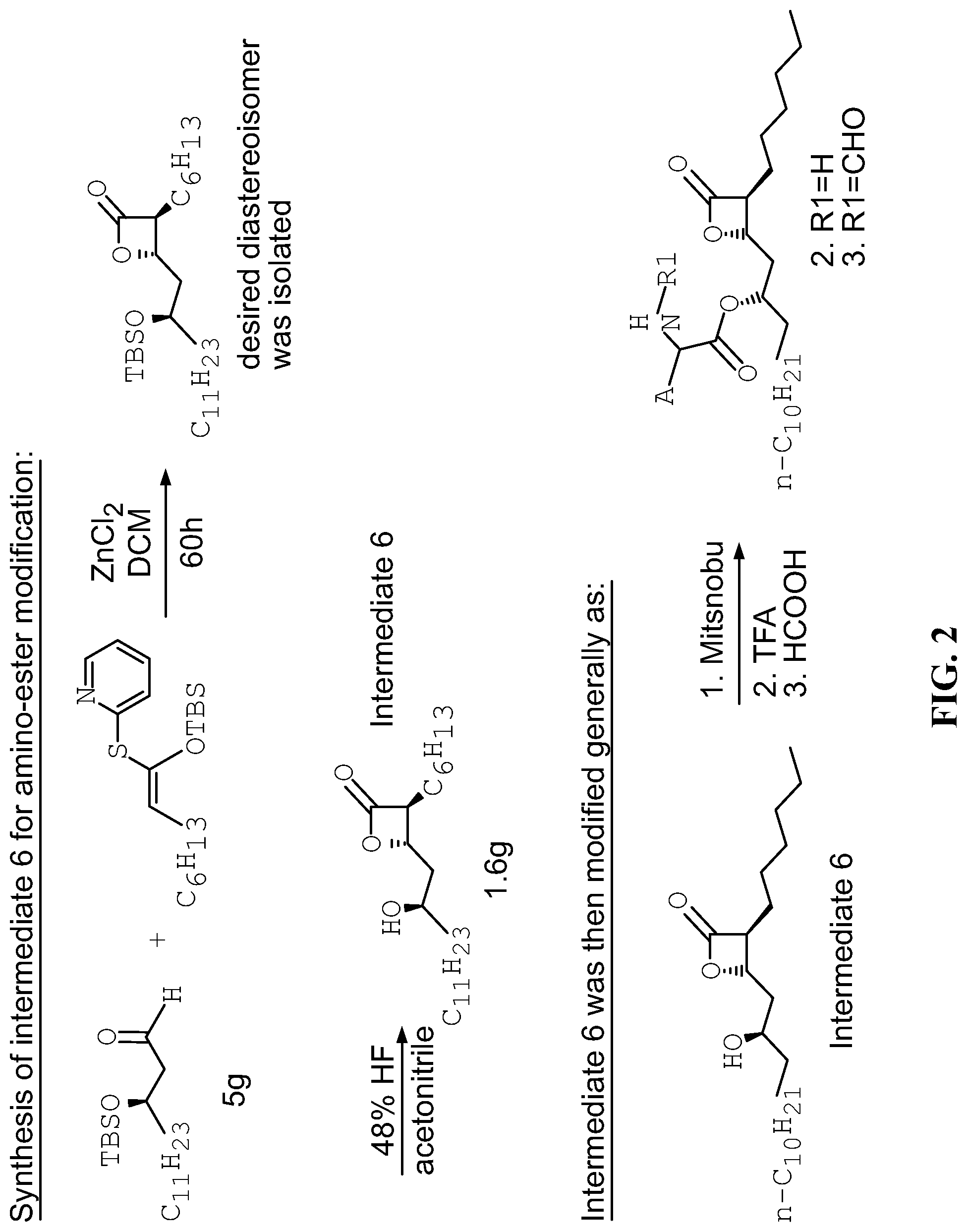 Patent US12325690 — Compounds for the reducing lipotoxic damage — Figure 1