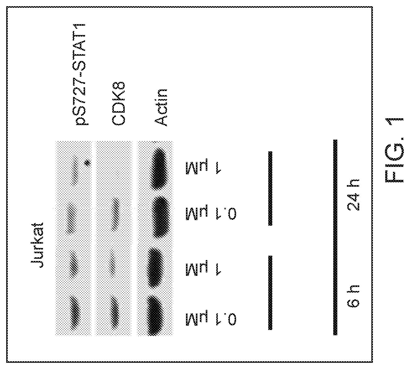 Patent US12325725 — Cyclin-dependent kinase degraders and methods of use — Figure 1