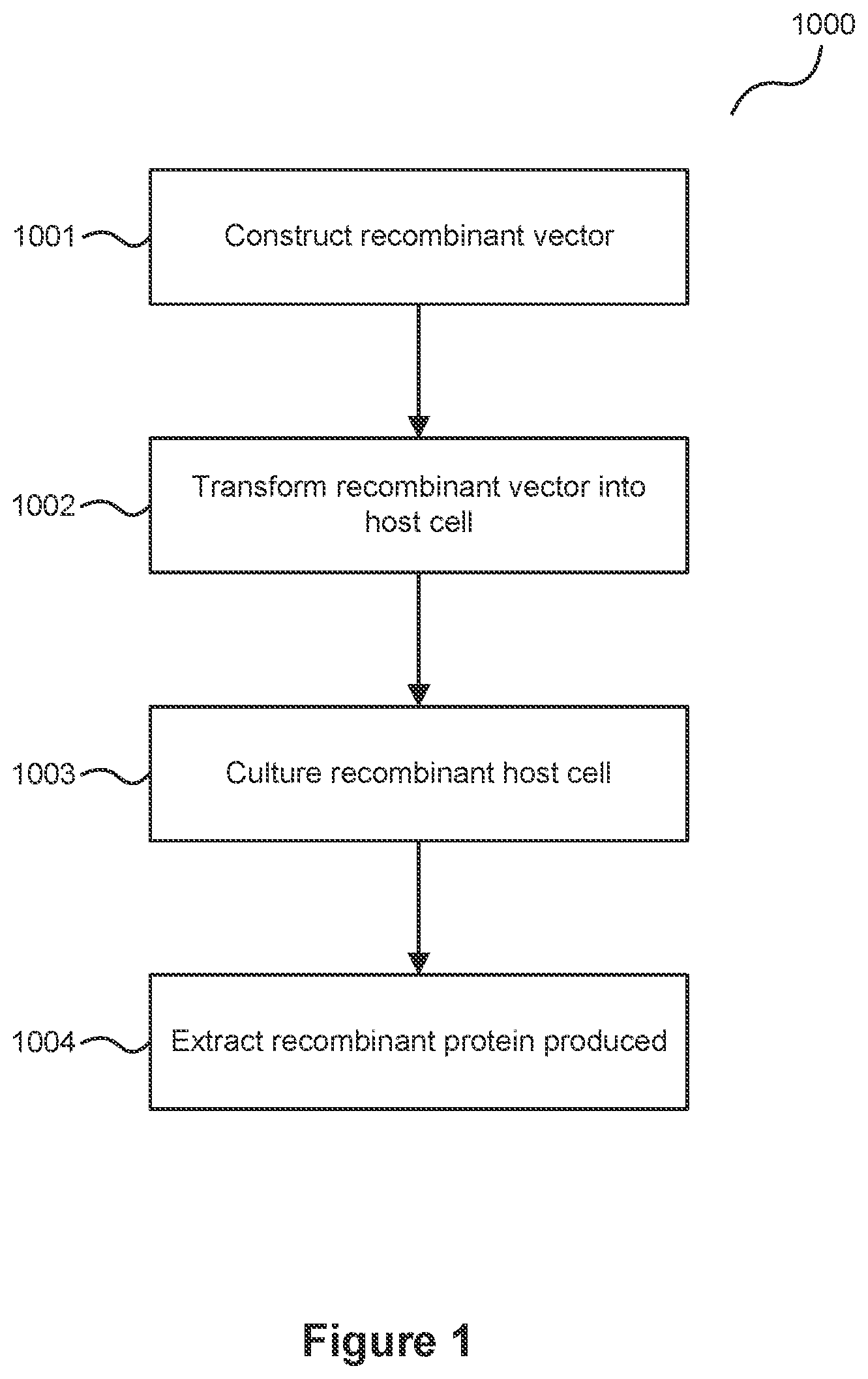 Patent US12325730 — Compositions and methods for producing high secreted yields of recombinant proteins — Figure 1