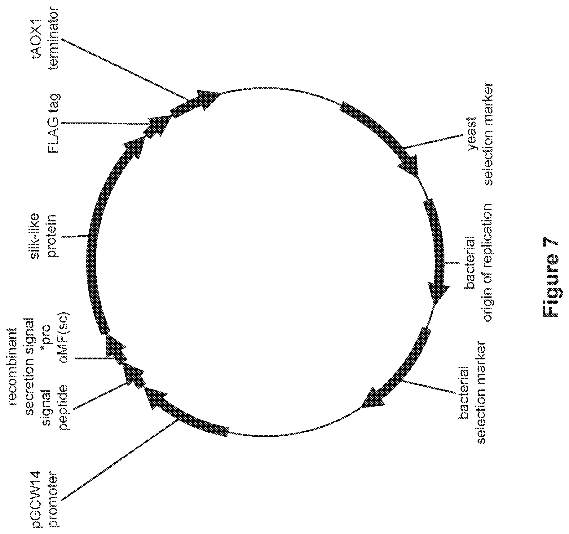 Patent US12325730 Figure 7 – Compositions and methods for producing high secreted yields of recombinant proteins