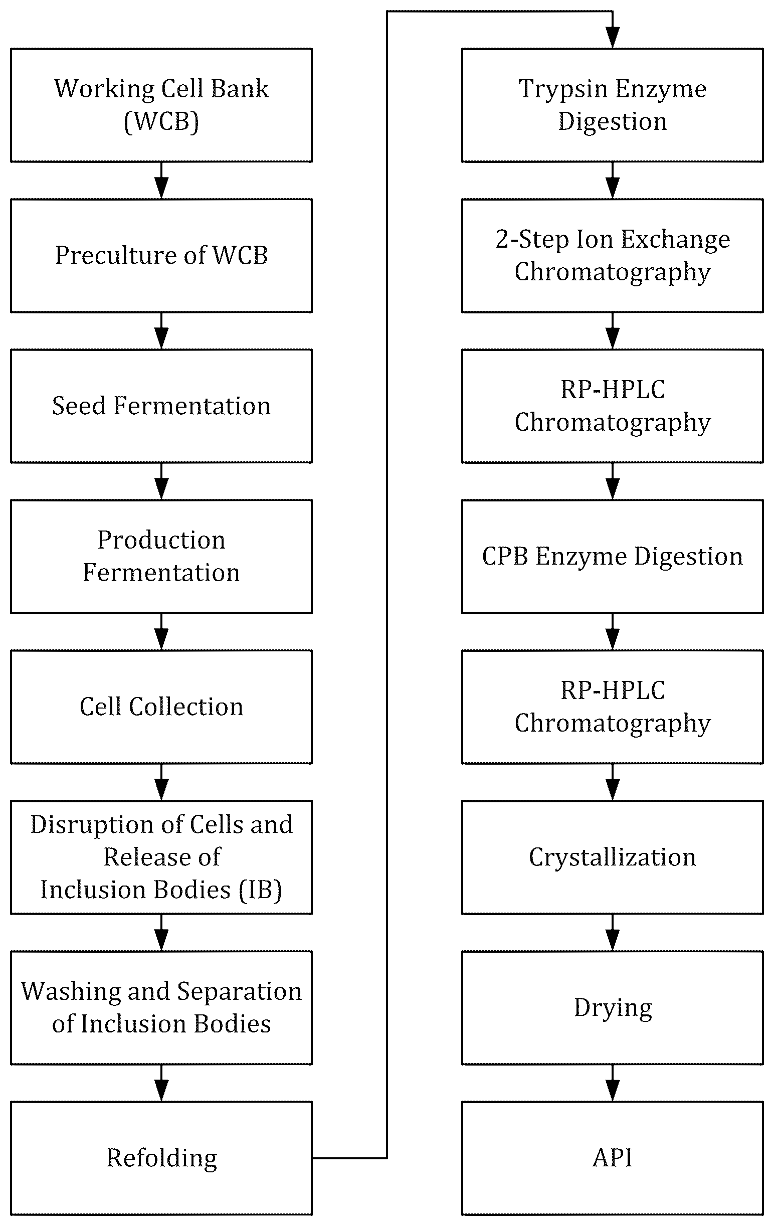 Patent US12325732 — Pro-insulin aspart structure and method for preparing insulin aspart — Figure 1