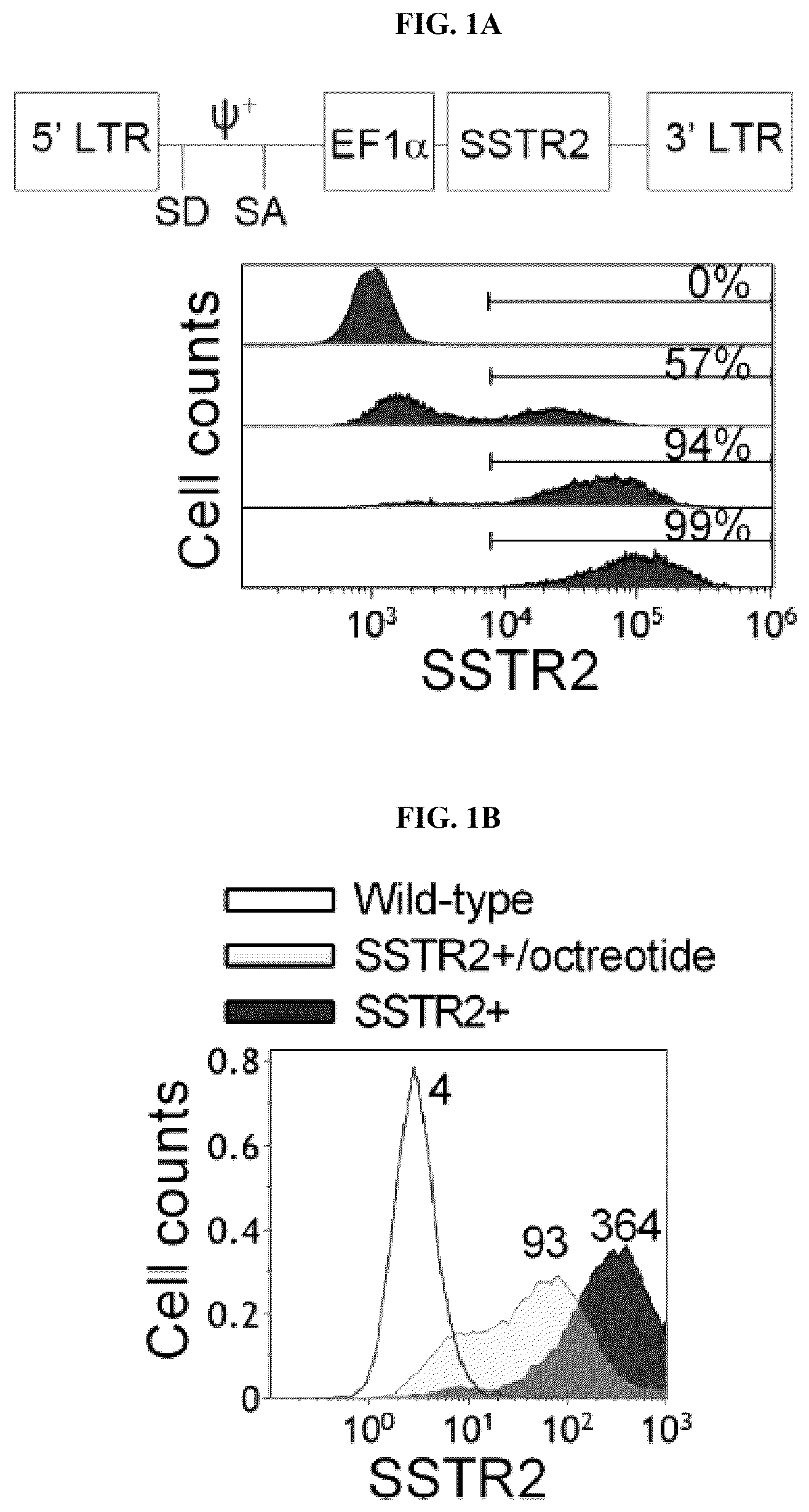 Patent US12325736 — Transduced T cells expressing human SSTR2 and application thereof — Figure 1