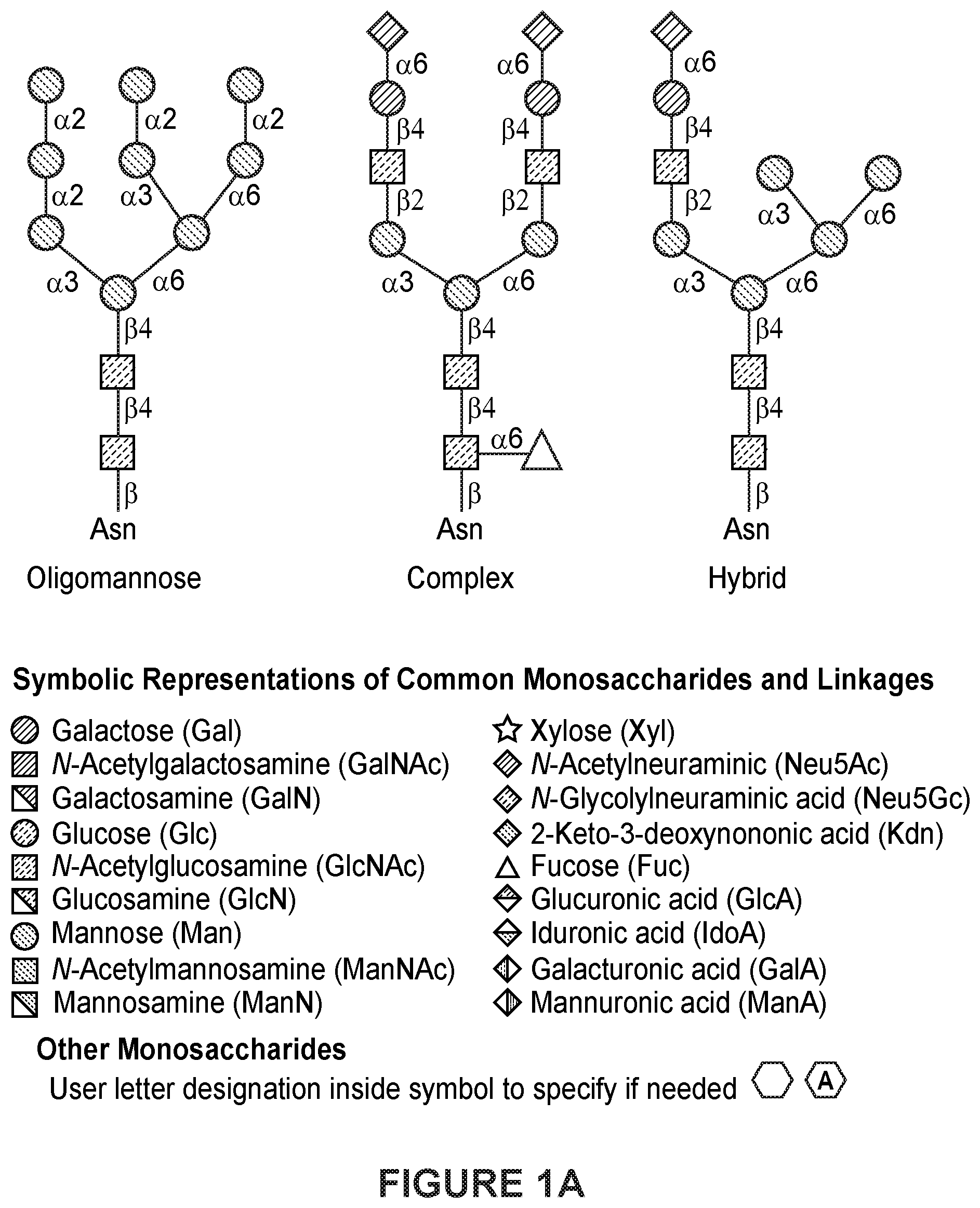 Patent US12325737 — Total afucosylated glycoforms of antibodies produced in cell culture — Figure 1