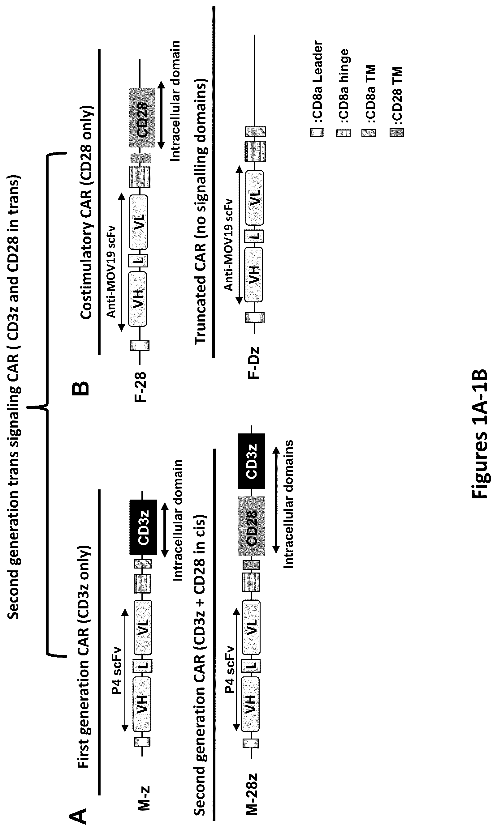 Patent US12325756 Figure 1 – Use of trans-signaling approach in chimeric antigen receptors