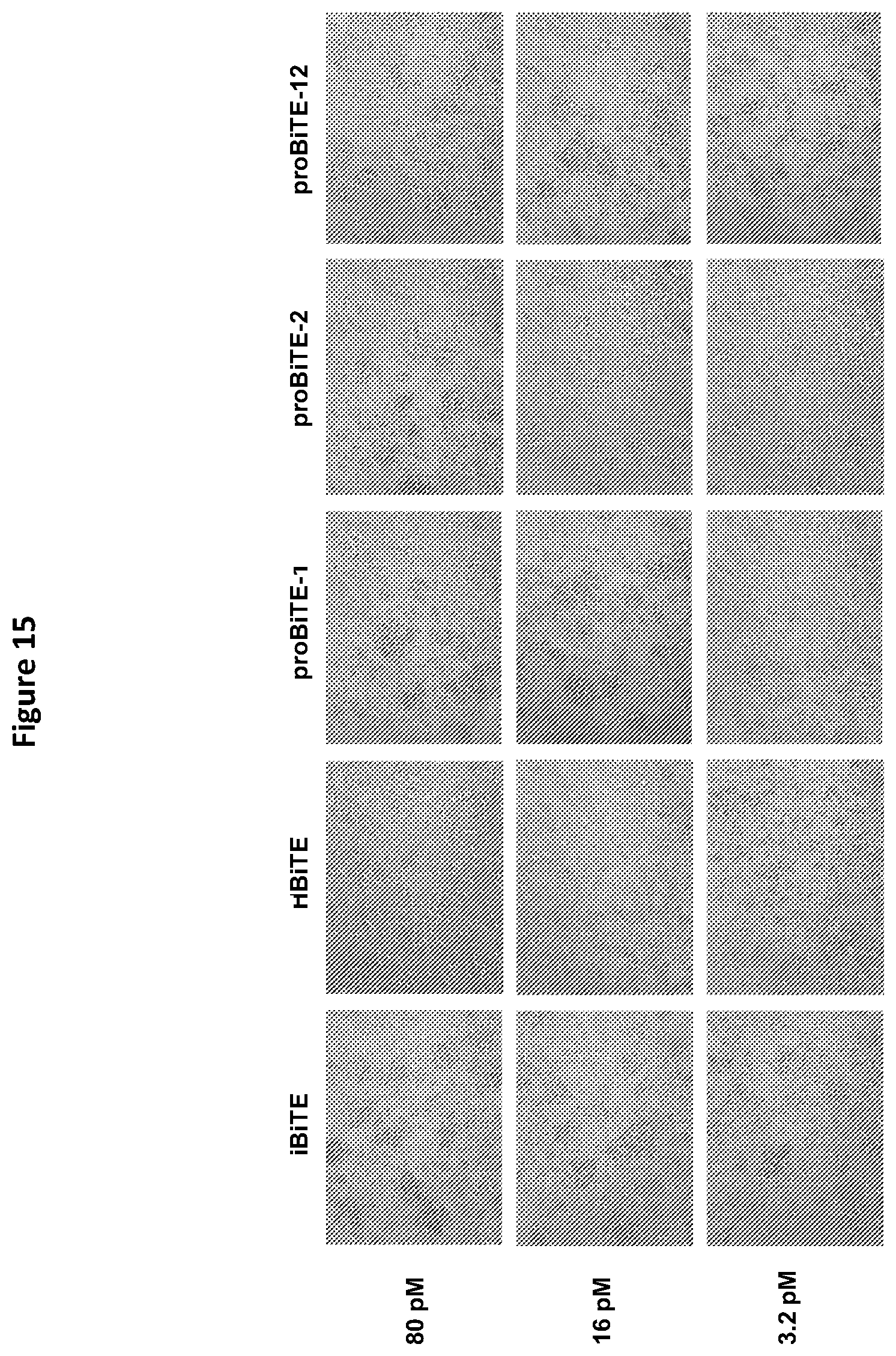 Patent US12325757 Figure 17 – Protease cleavable bispecific antibodies and uses thereof