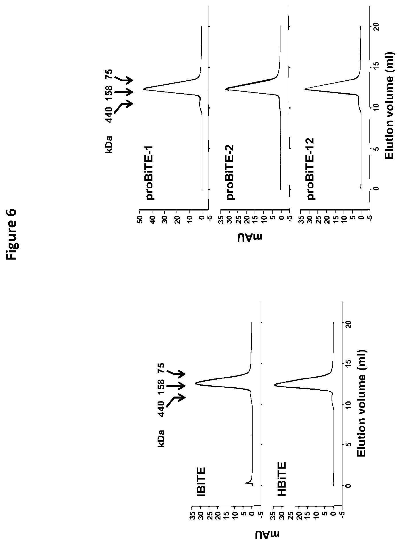 Patent US12325758 Figure 8 – Protease cleavable bispecific antibodies and uses thereof