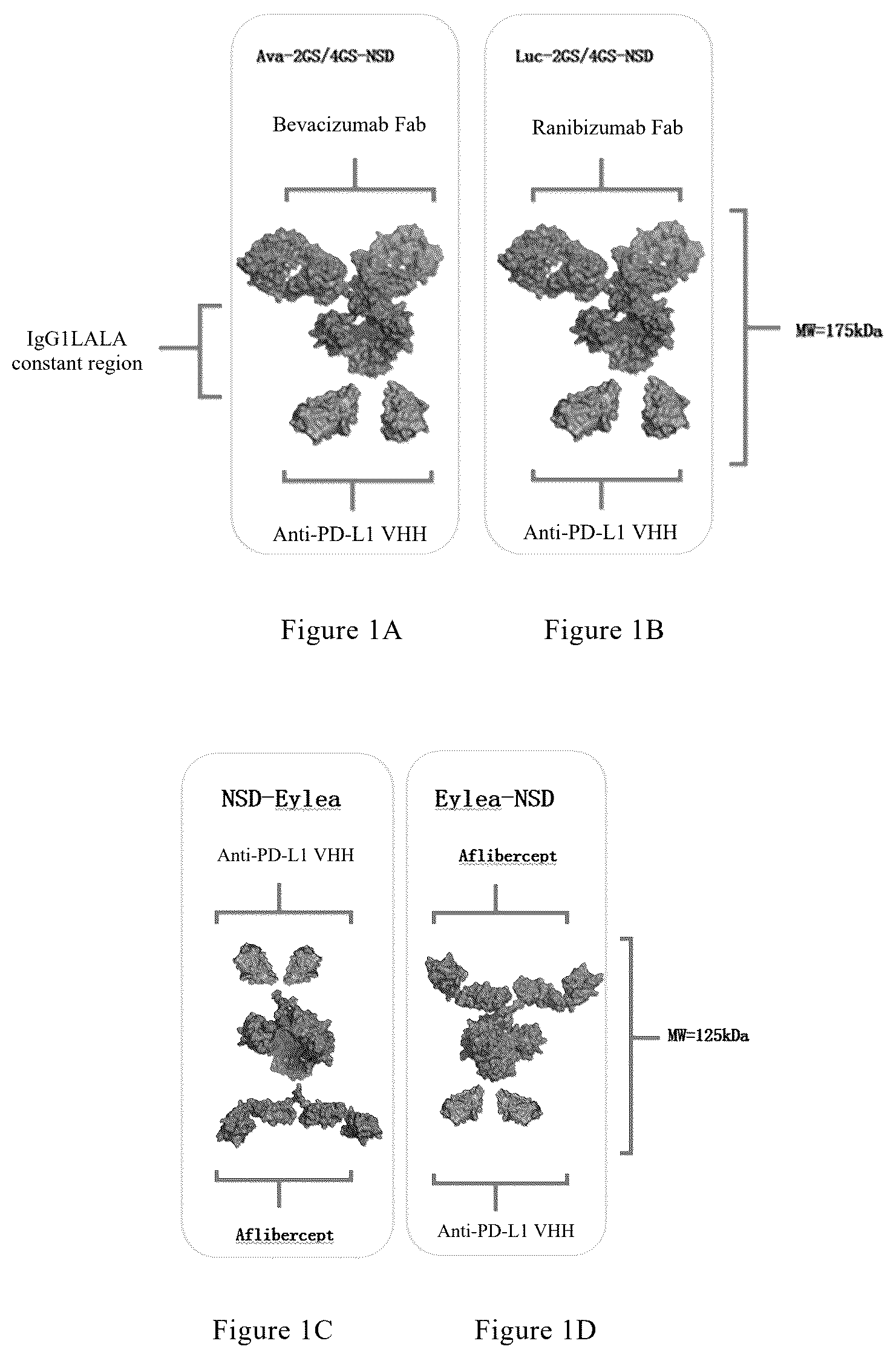 Patent US12325759 — Anti-VEGF-anti-PD-L1 bispecific antibody, pharmaceutical composition of same, and uses thereof — Figure 1