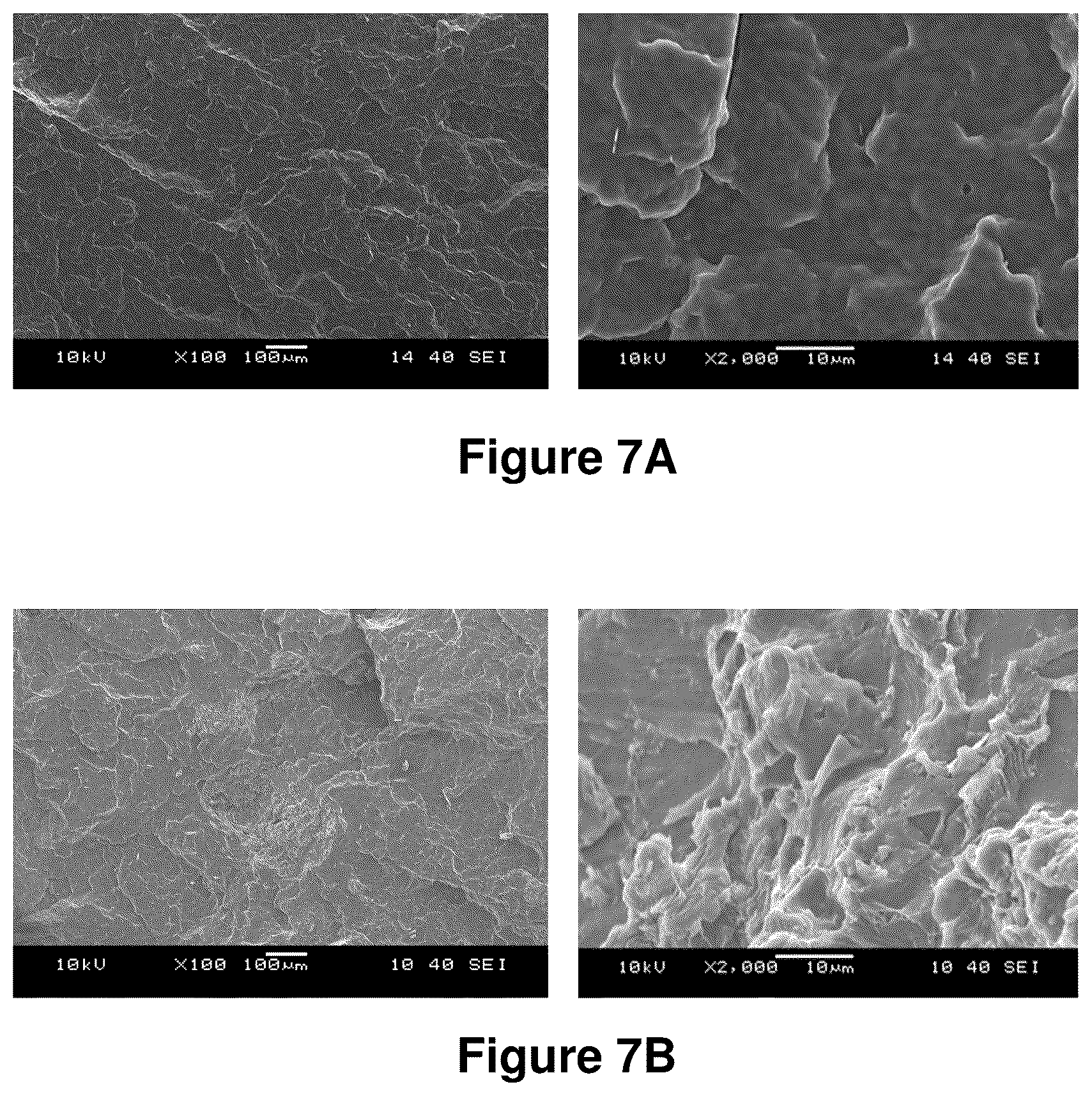 Patent US12325799 Figure 8 – Compositions containing lignocellulosic biomass residues, polymer composites made therefrom, and methods of making lignocellulosic biomass residues and polymer composites containing them