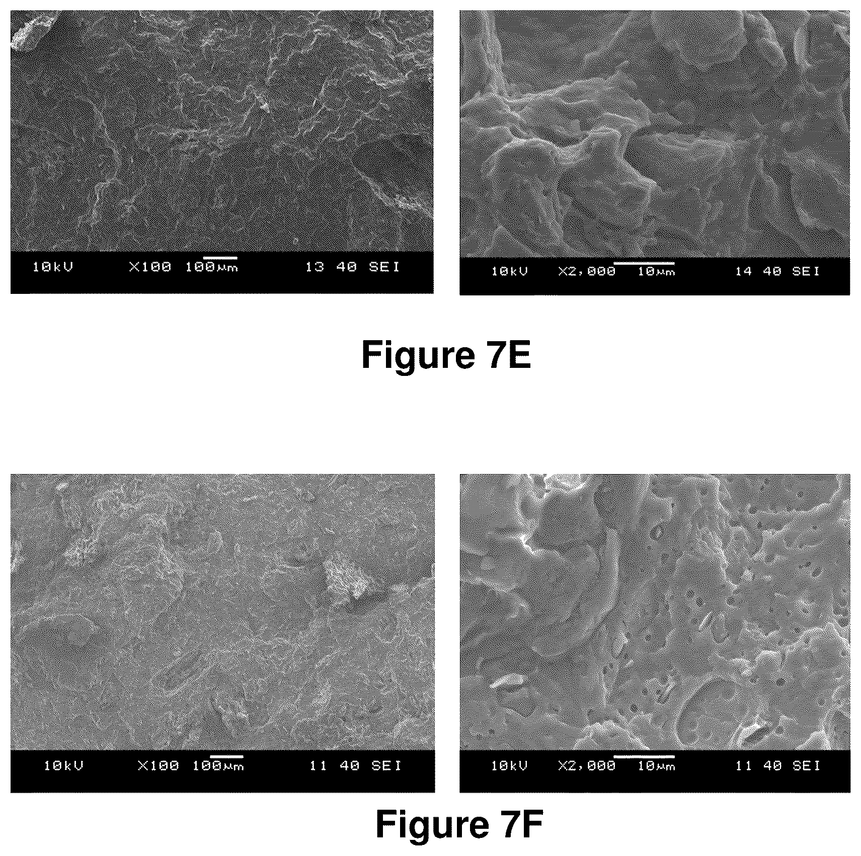 Patent US12325799 Figure 10 – Compositions containing lignocellulosic biomass residues, polymer composites made therefrom, and methods of making lignocellulosic biomass residues and polymer composites containing them