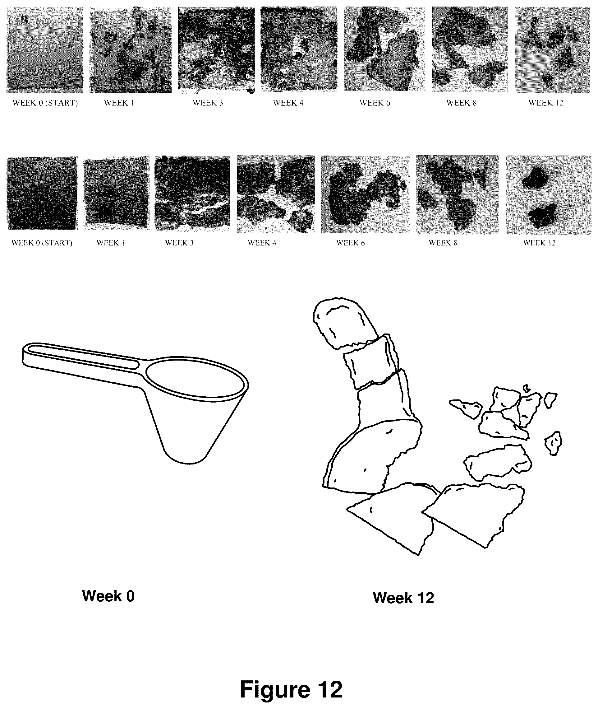 Patent US12325799 Figure 16 – Compositions containing lignocellulosic biomass residues, polymer composites made therefrom, and methods of making lignocellulosic biomass residues and polymer composites containing them