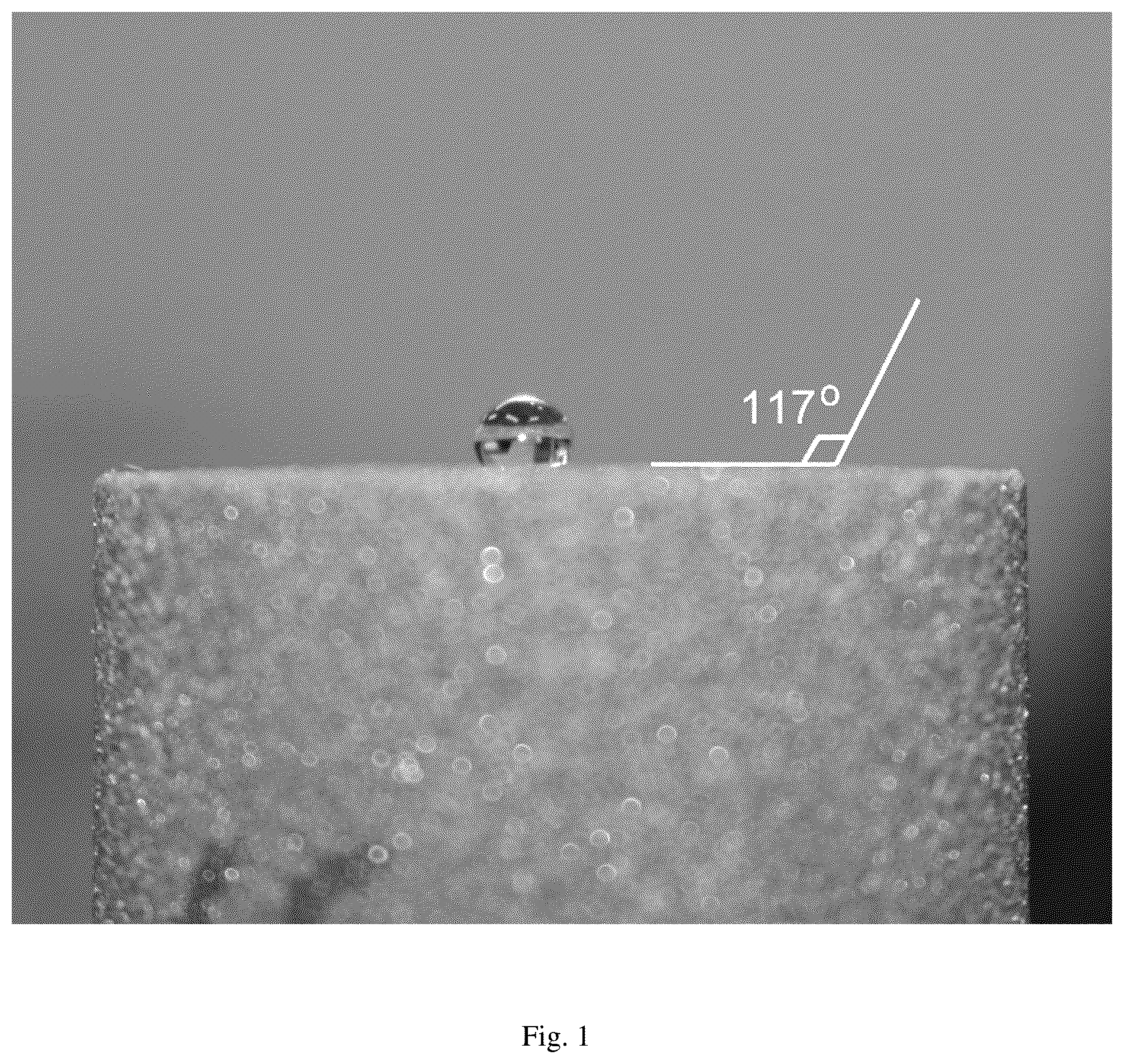 Patent US12325824 — Composition and method for improving the production of petroleum hydrocarbons — Figure 1