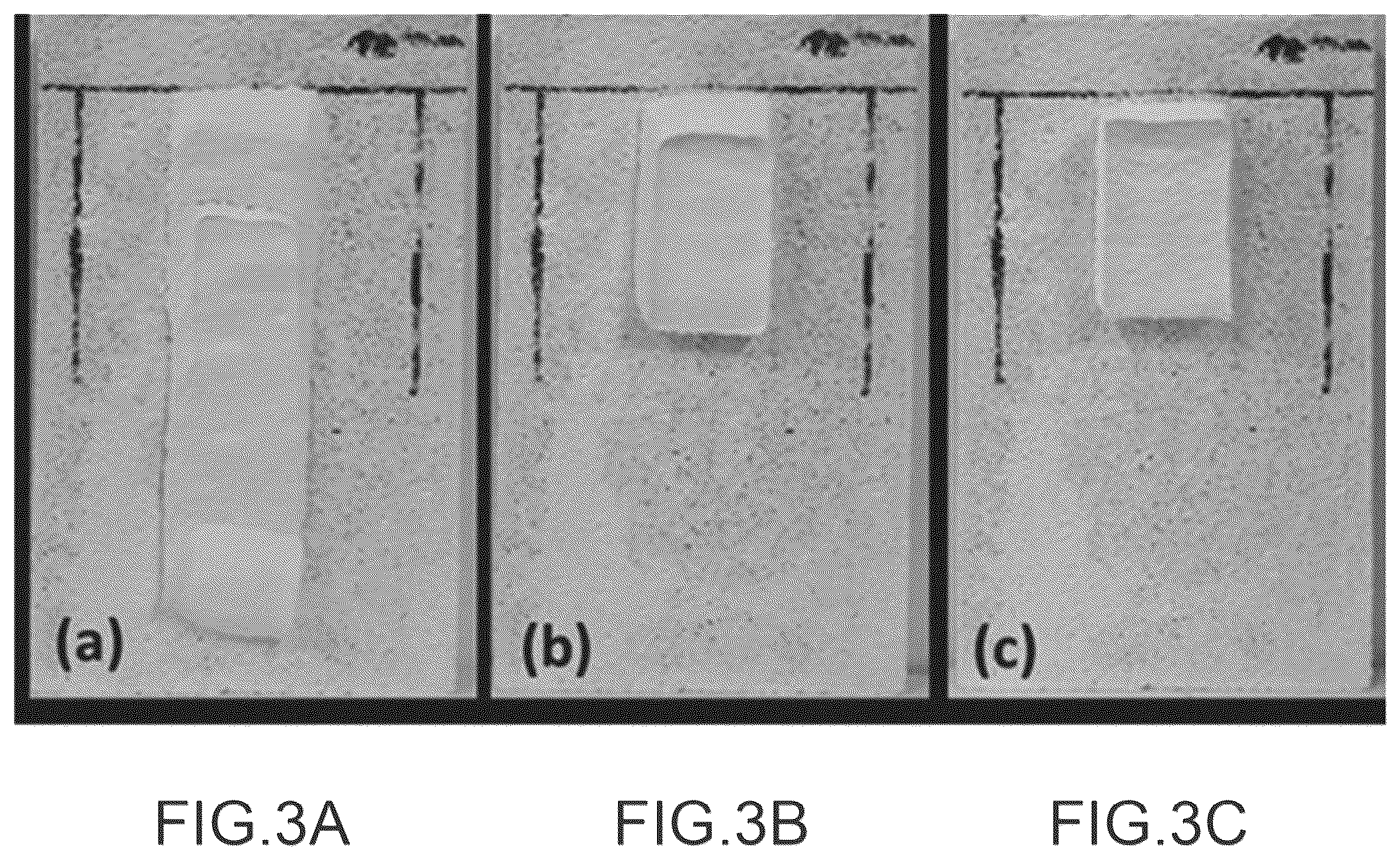 Patent US12325842 — Decontamination paste consisting of clays and microfibers and method for decontaminating a solid material using said paste — Figure 1