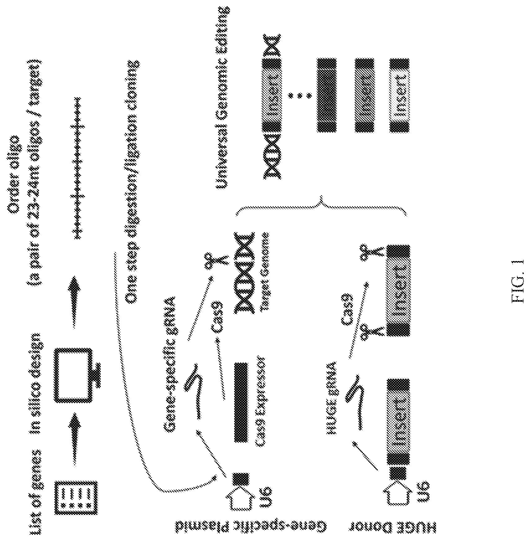 Patent US12325855 — Gene editing using homology-independent universal genome engineering technology — Figure 1