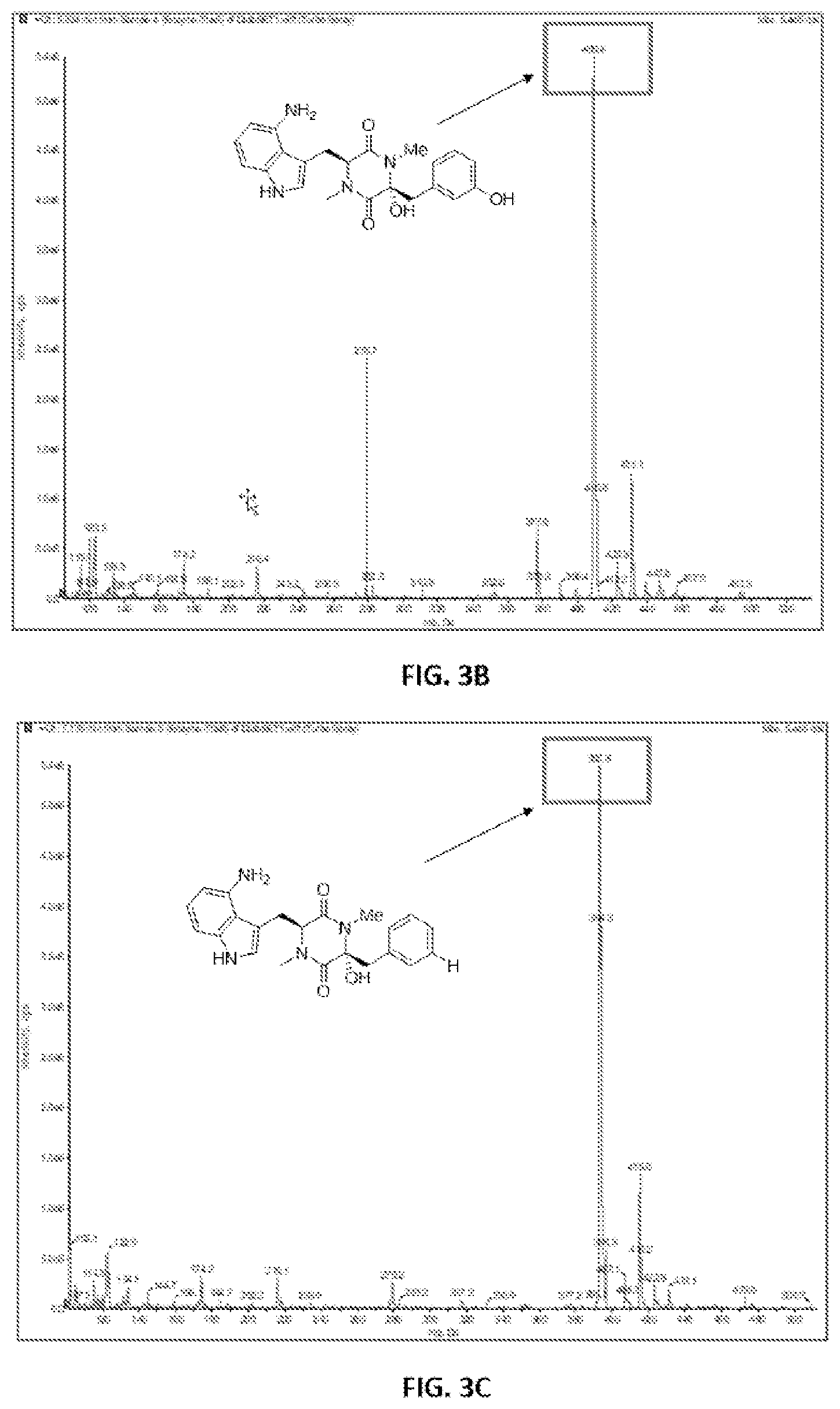 Patent US12325862 — Compositions and methods for transgenic crops resistant to thaxtomins — Figure 1