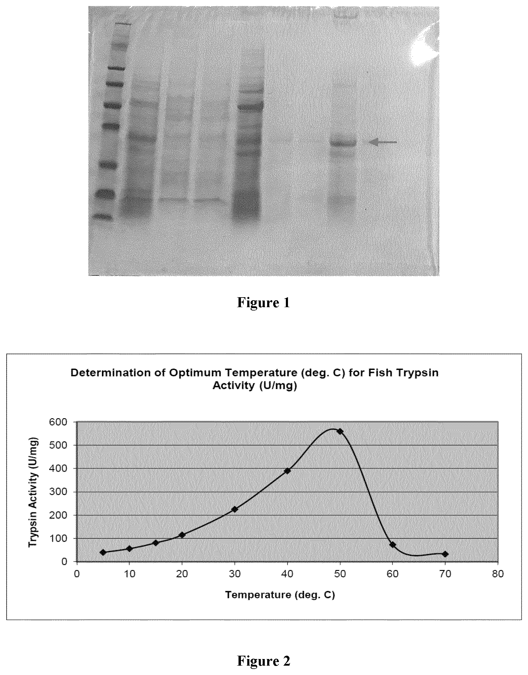 Patent US12325868 — Purified fish proteases with high specific activities and its process of production — Figure 1