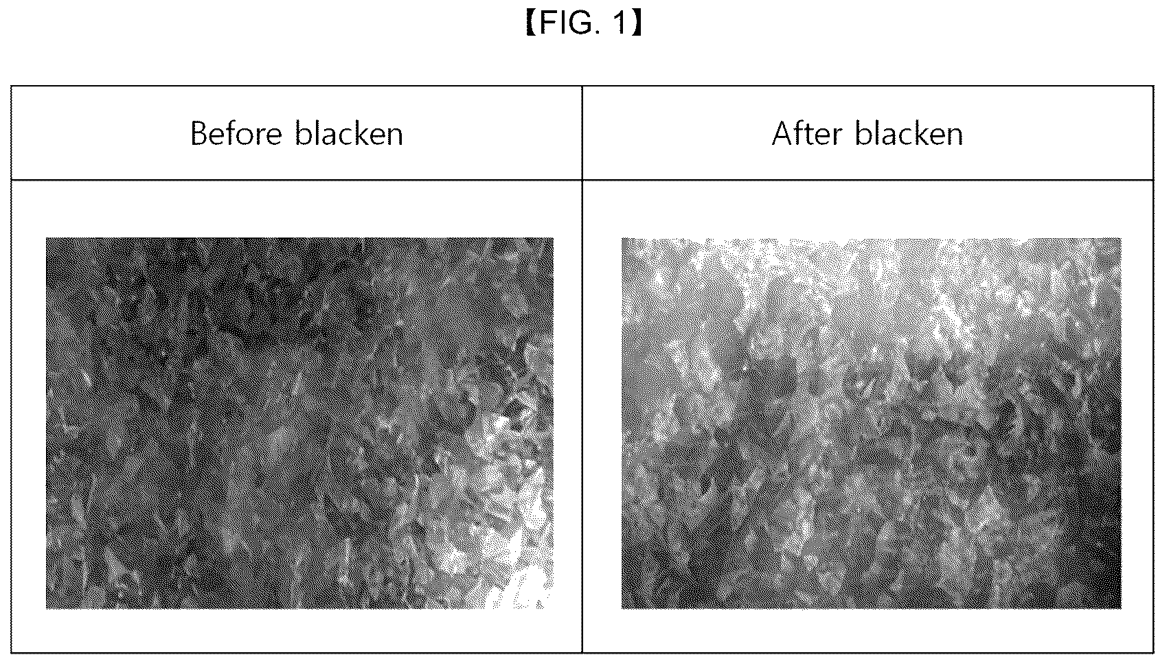 Patent US12325887 — Black color plated steel sheet, and manufacturing method thereof — Figure 1