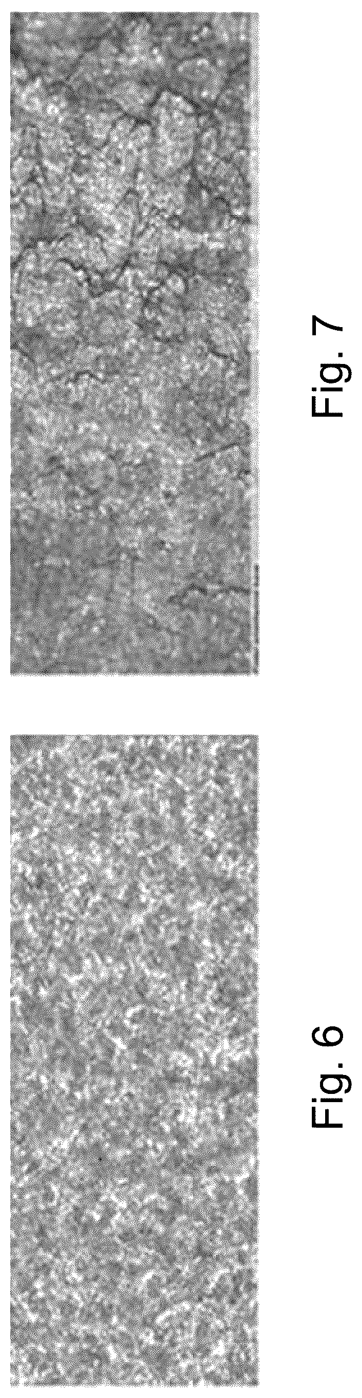 Patent US12325902 Figure 6 – Ultra-high strength weathering steel and high friction rolling of the same