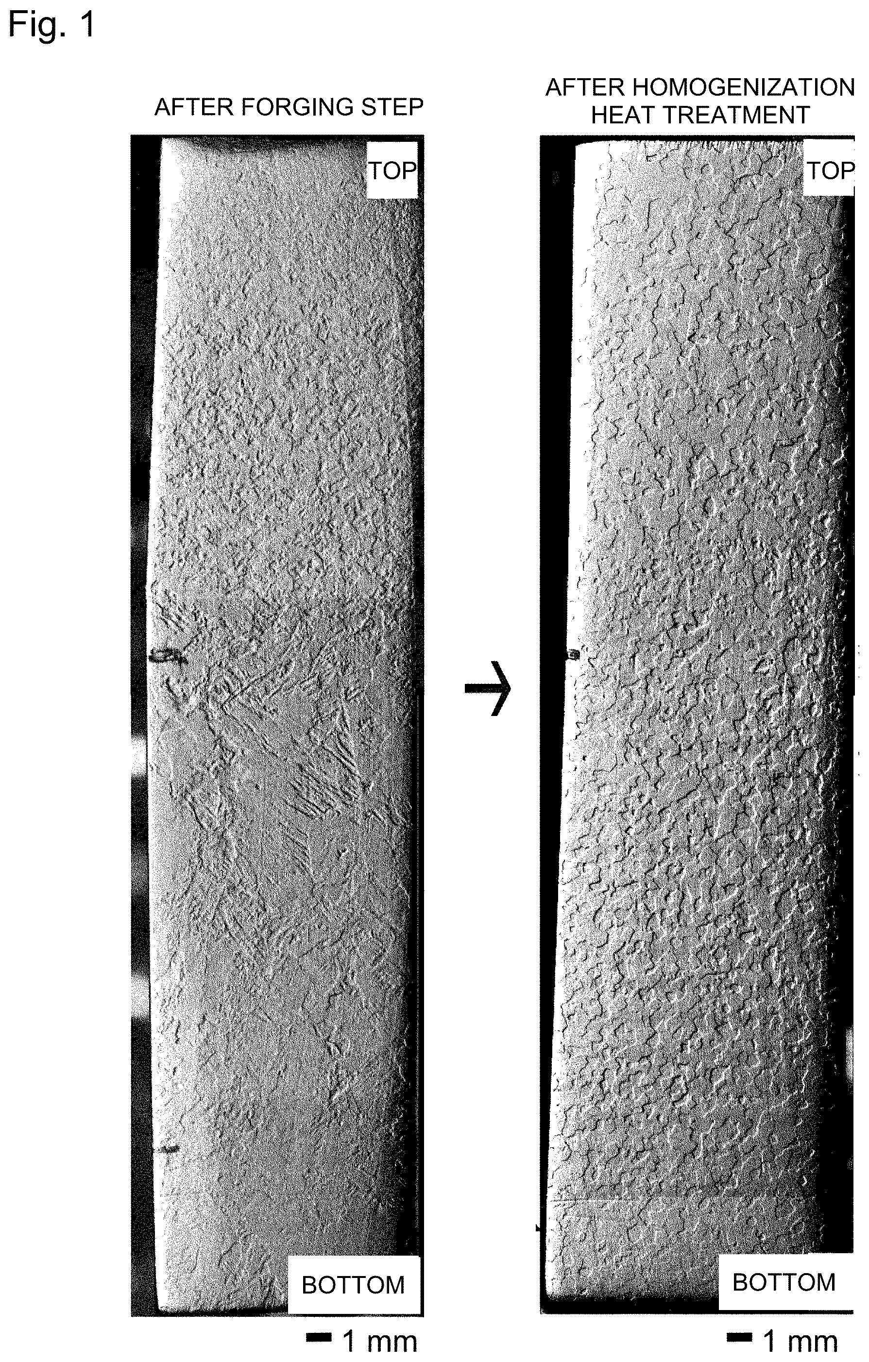 Patent US12325908 — Platinum-based sputtering target, and method for producing the same — Figure 1
