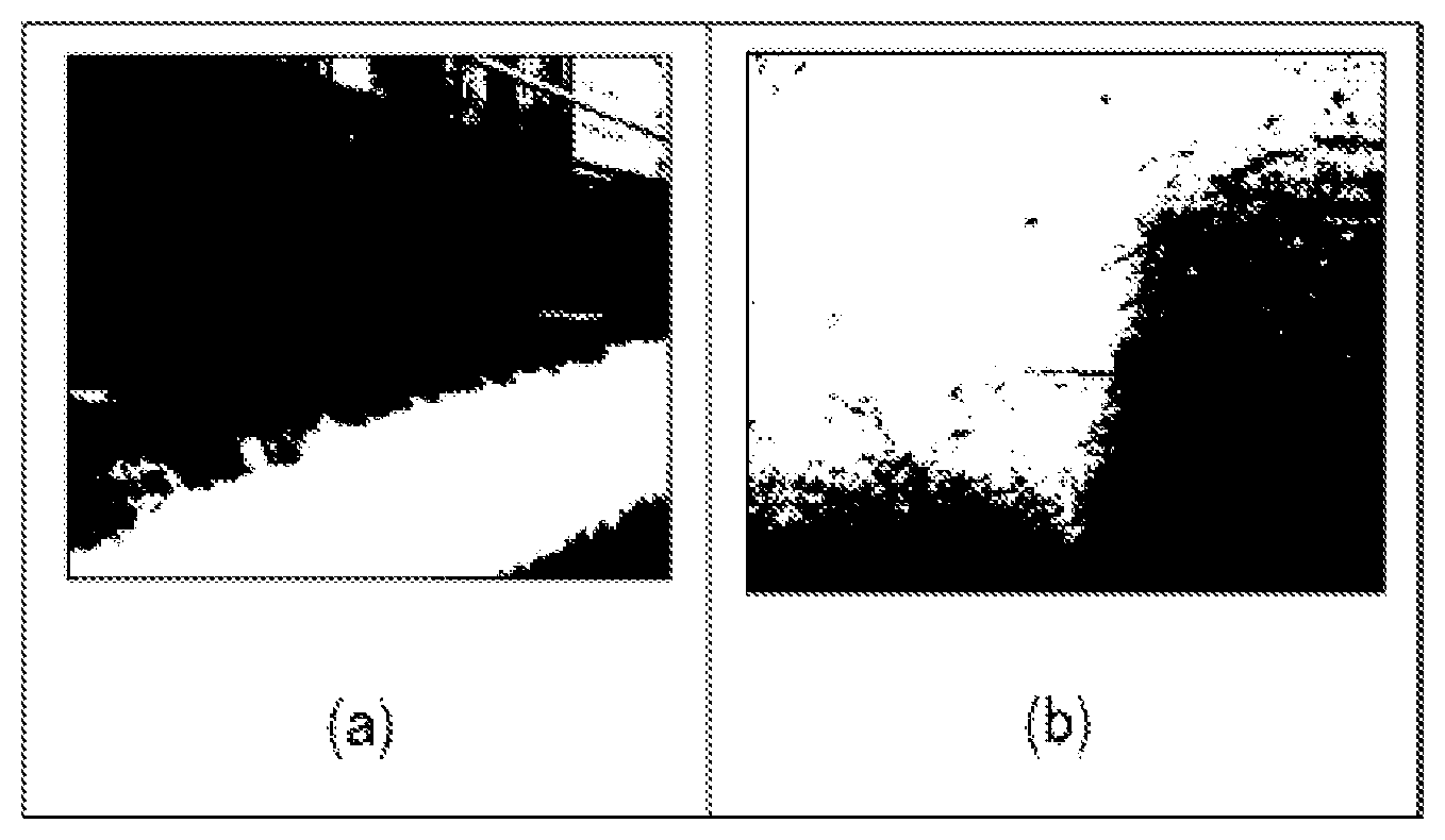 Patent US12325939 — Spunbonded nonwoven fabric and tile carpet using the same — Figure 1