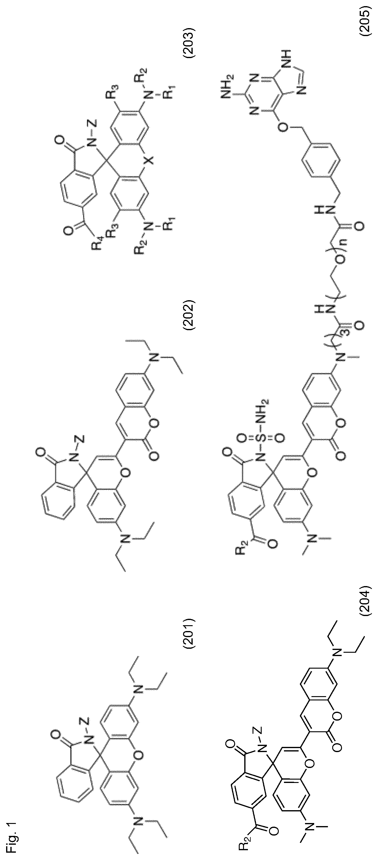 Patent US12326385 — Cell-permeable fluorogenic fluorophores — Figure 1